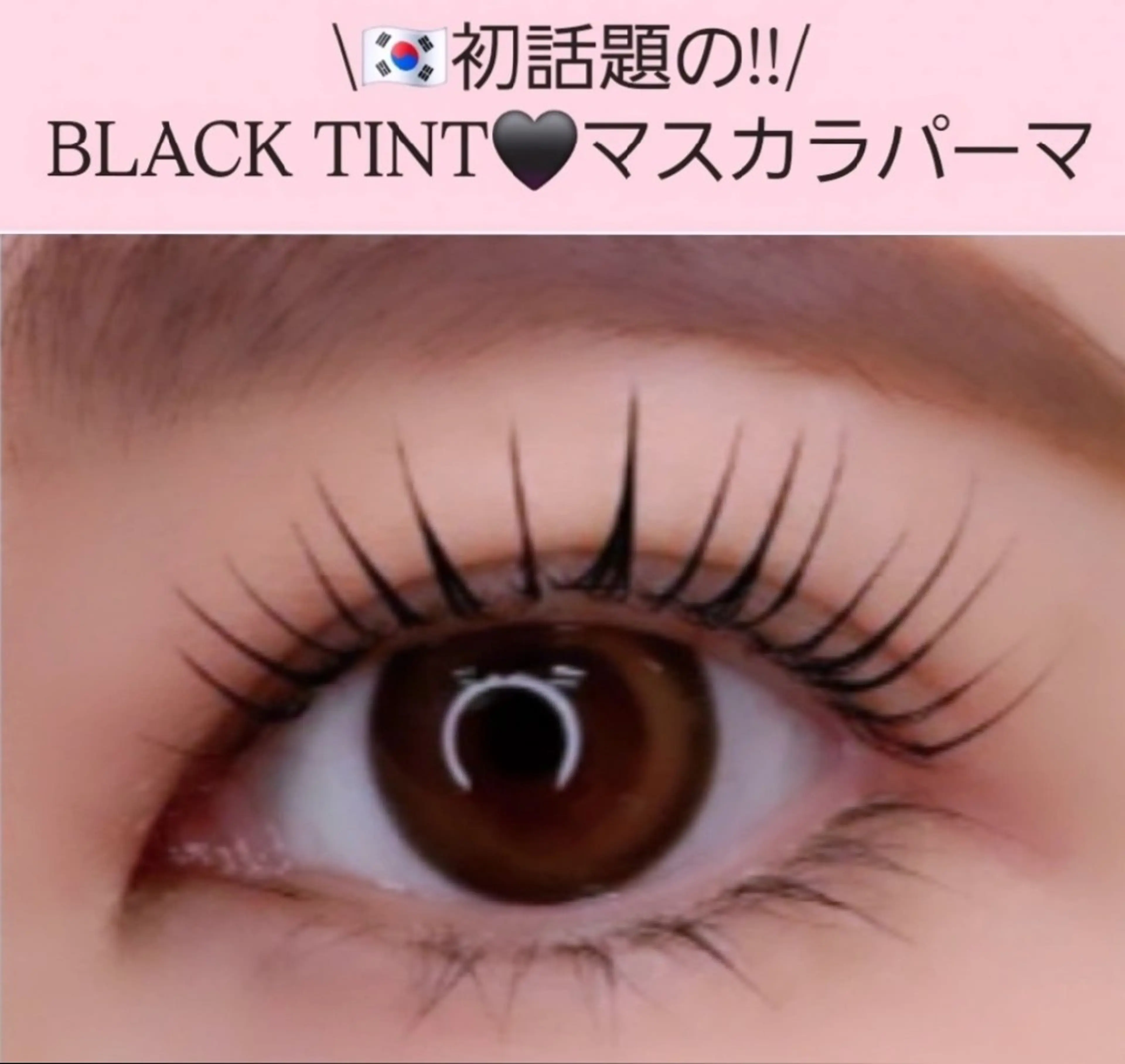 \話題の!!/BLACK TINT🖤マスカラパーマの写真