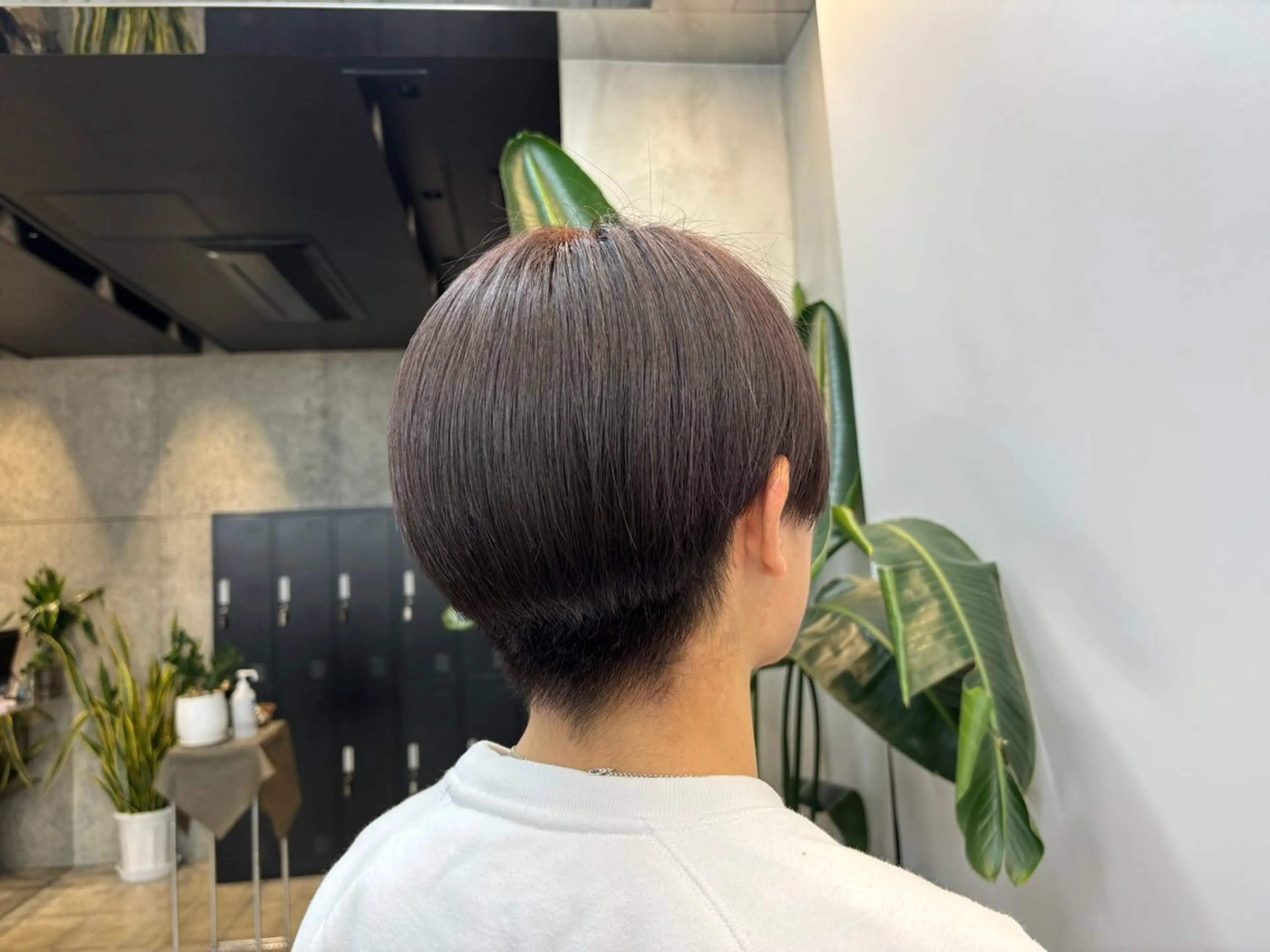 カラー メンズ ブラウンカラー レッドカラー 🌷艶感カラー🌷 富施　優花のヘアスタイル