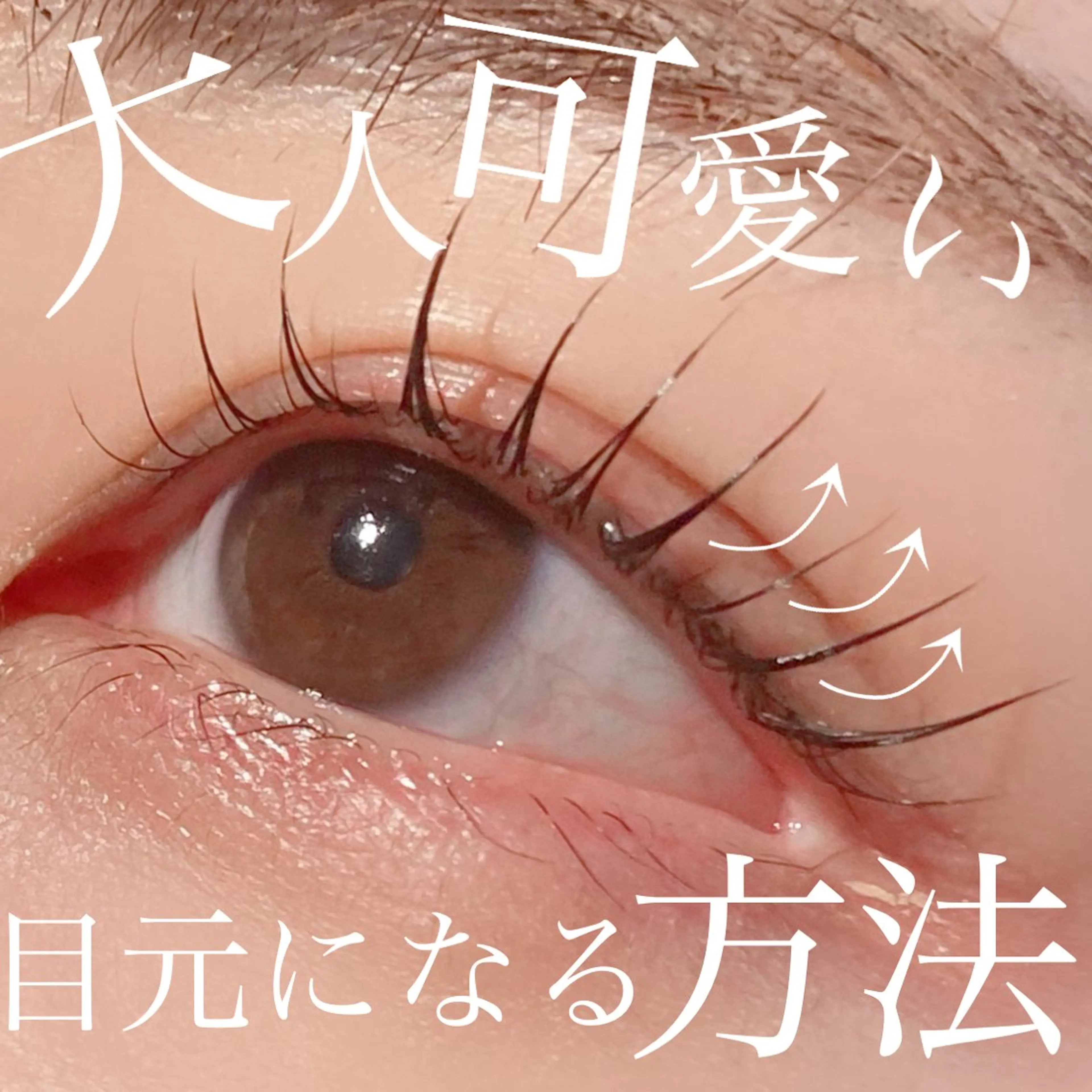 🌈トリートメント付き🌈ラッシュリフトの写真