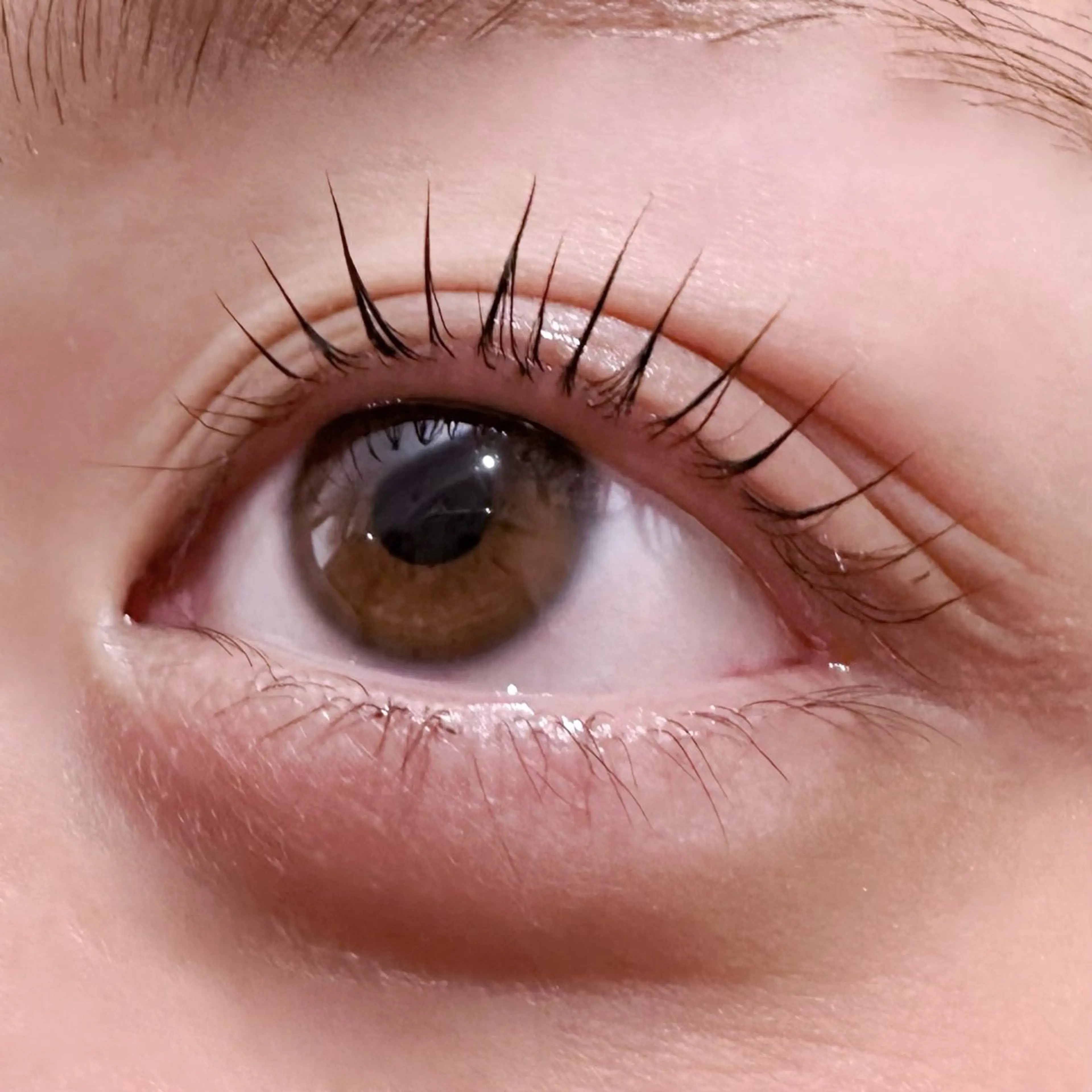 ミニモ学割🩵【パリジェンヌ💎( ꇐ₃ꇐ )】🎀限定価格🎀の写真