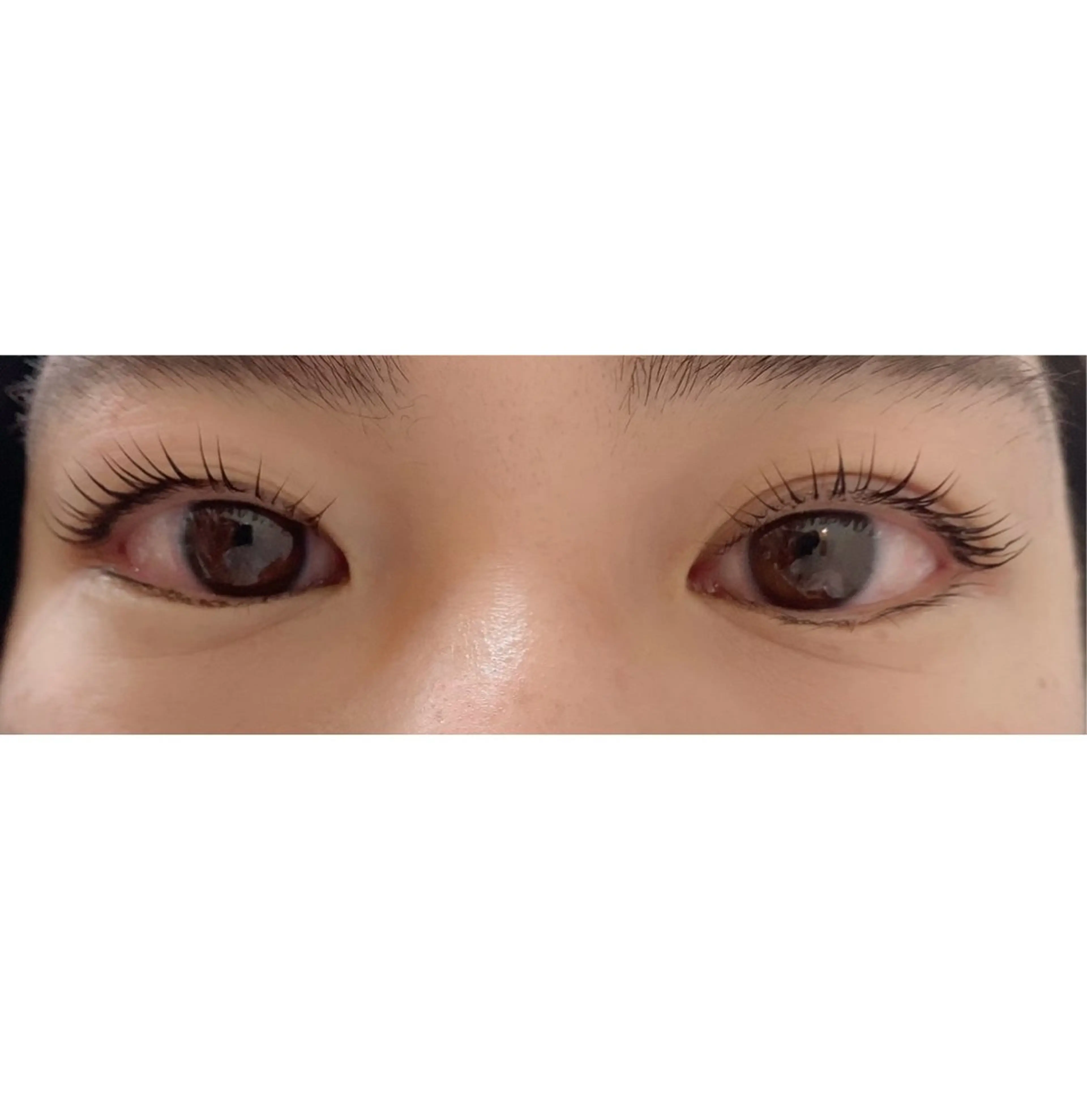 マツエク・マツパ Dahlia Beauty 伊藤のマツエク・マツパデザイン