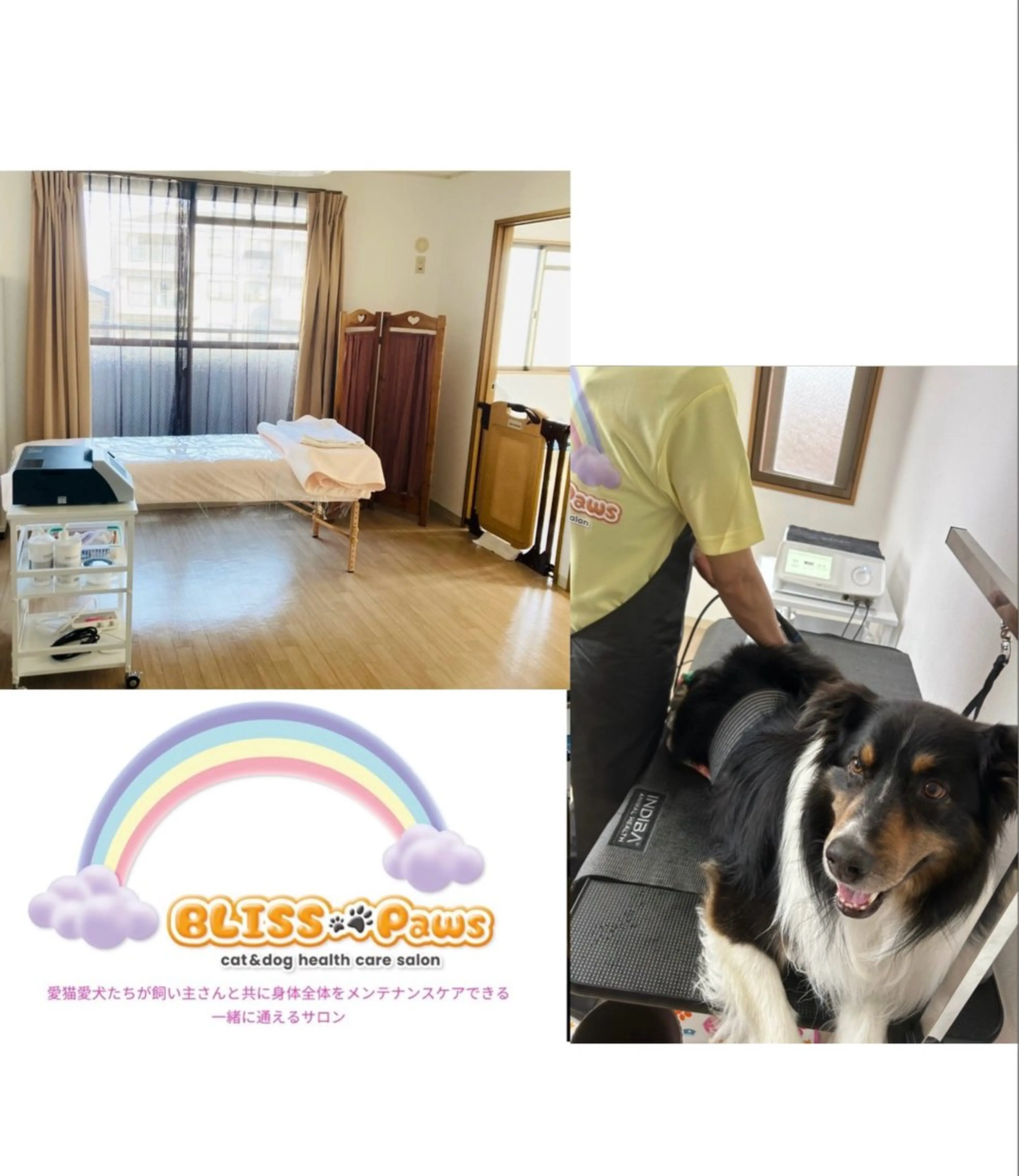 BLISS🐾Paws所属・わんにゃんと通える ヘルスケアサロンのエステ・リラクイメージ