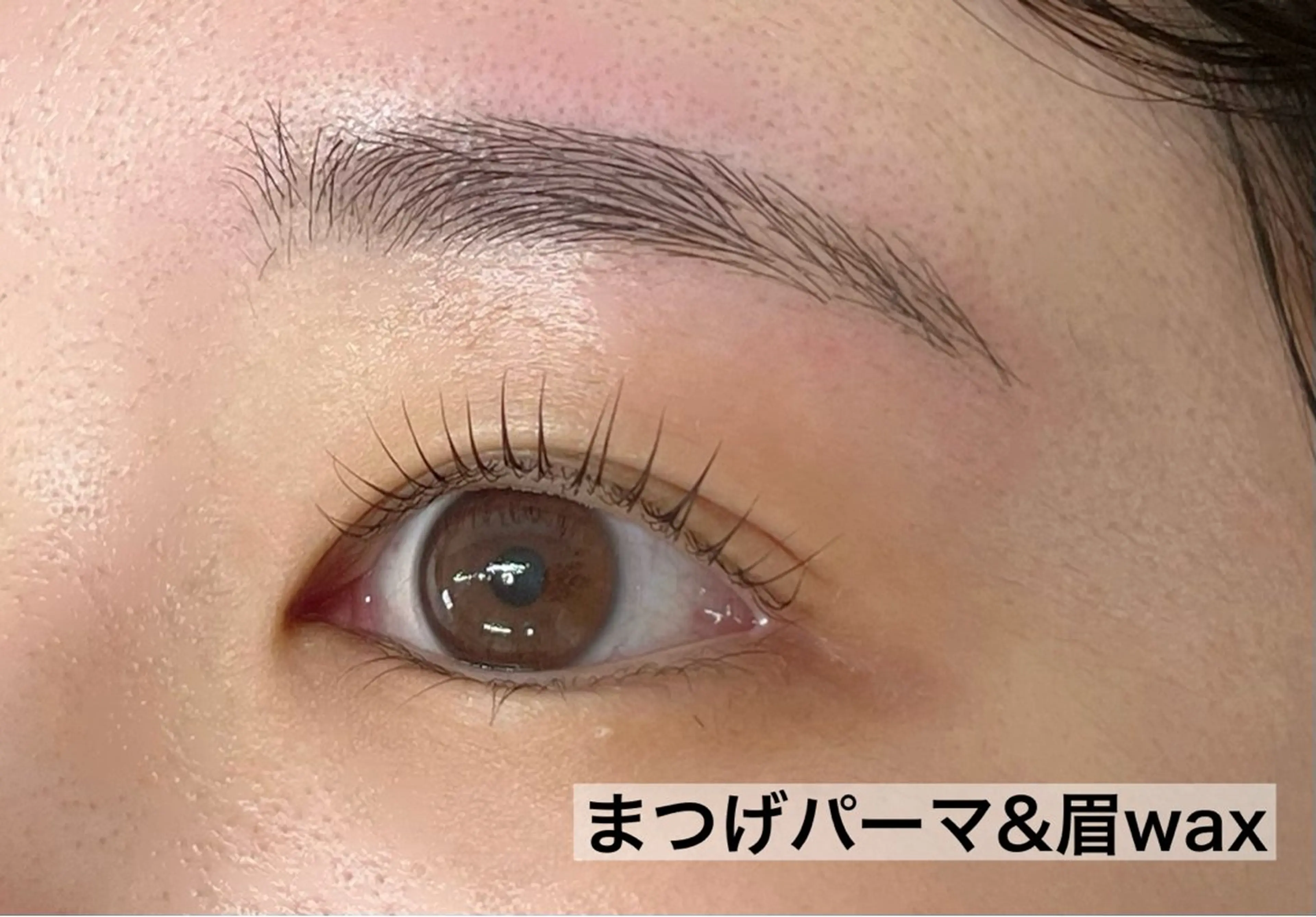 アイブロウ マツパ Gluck所属・ユリ|韓国風|束感| まつパ|まつエク|眉のマツエク・マツパデザイン