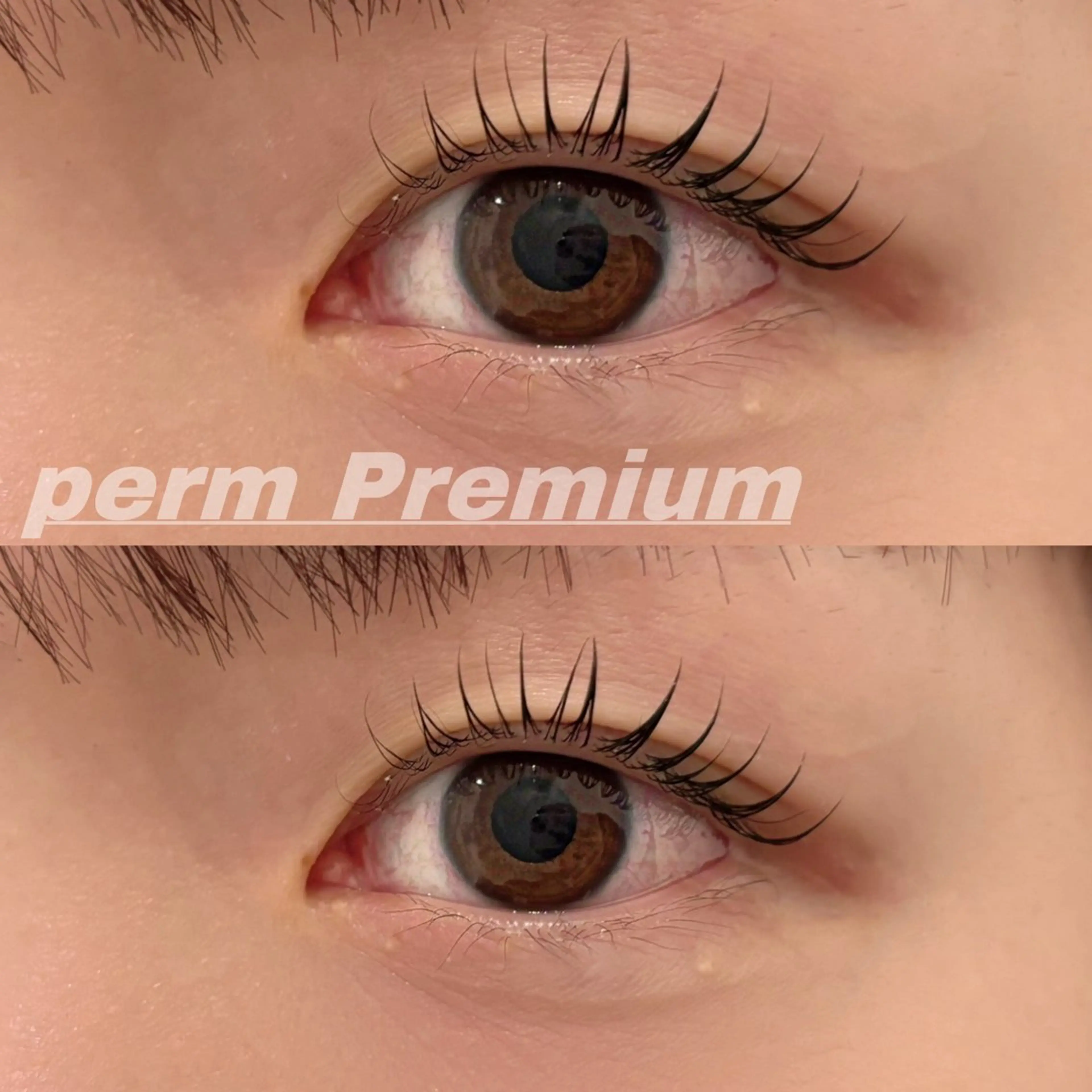 マツエク・マツパ 一重×まつ毛パーマ マツパ Eye ELSA lash栄店 長沼の眉毛・アイブロウイメージ