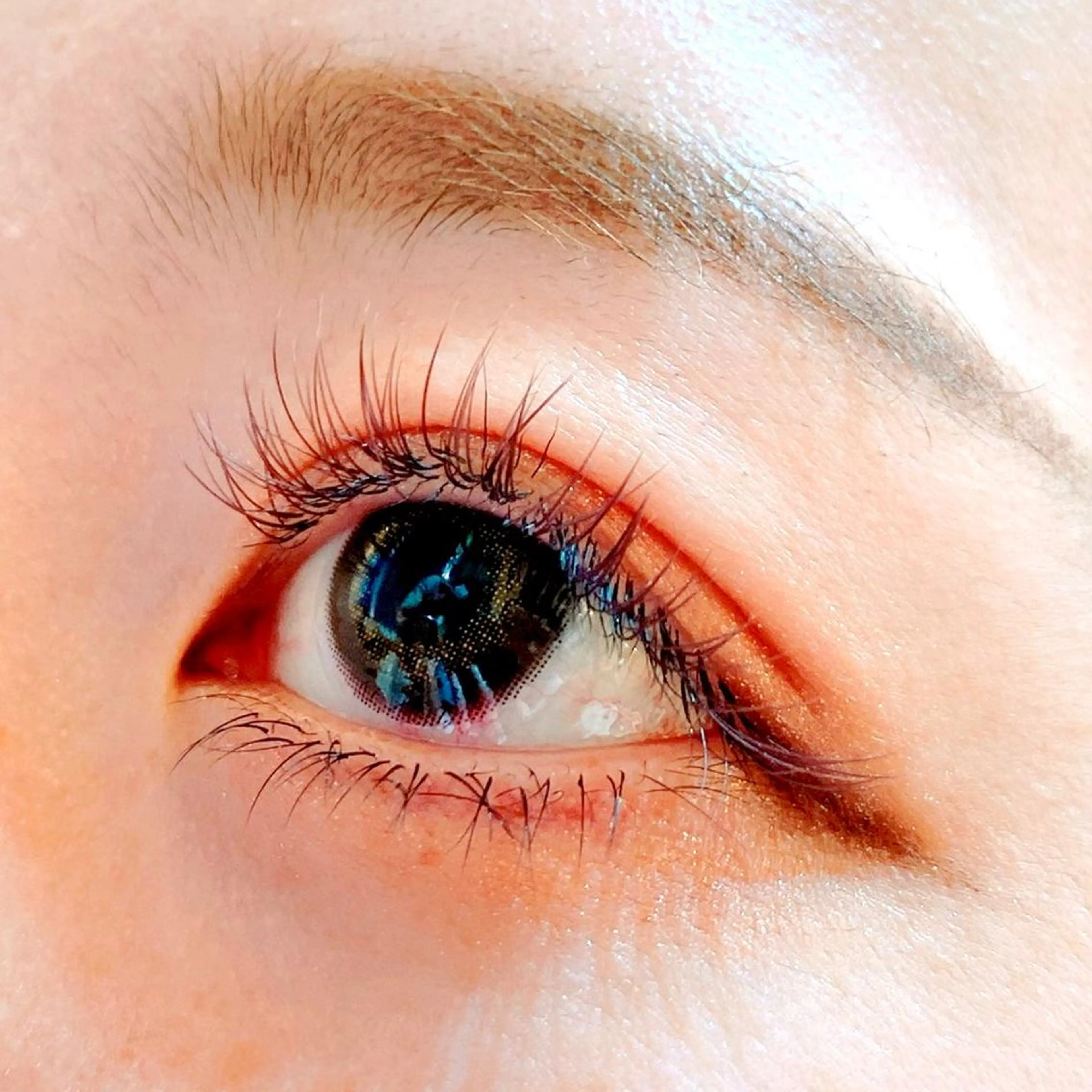 マツエク・マツパ Jカール 下まつげエクステ Fukushi/ 自由が丘quint;のマツエク・マツパデザイン