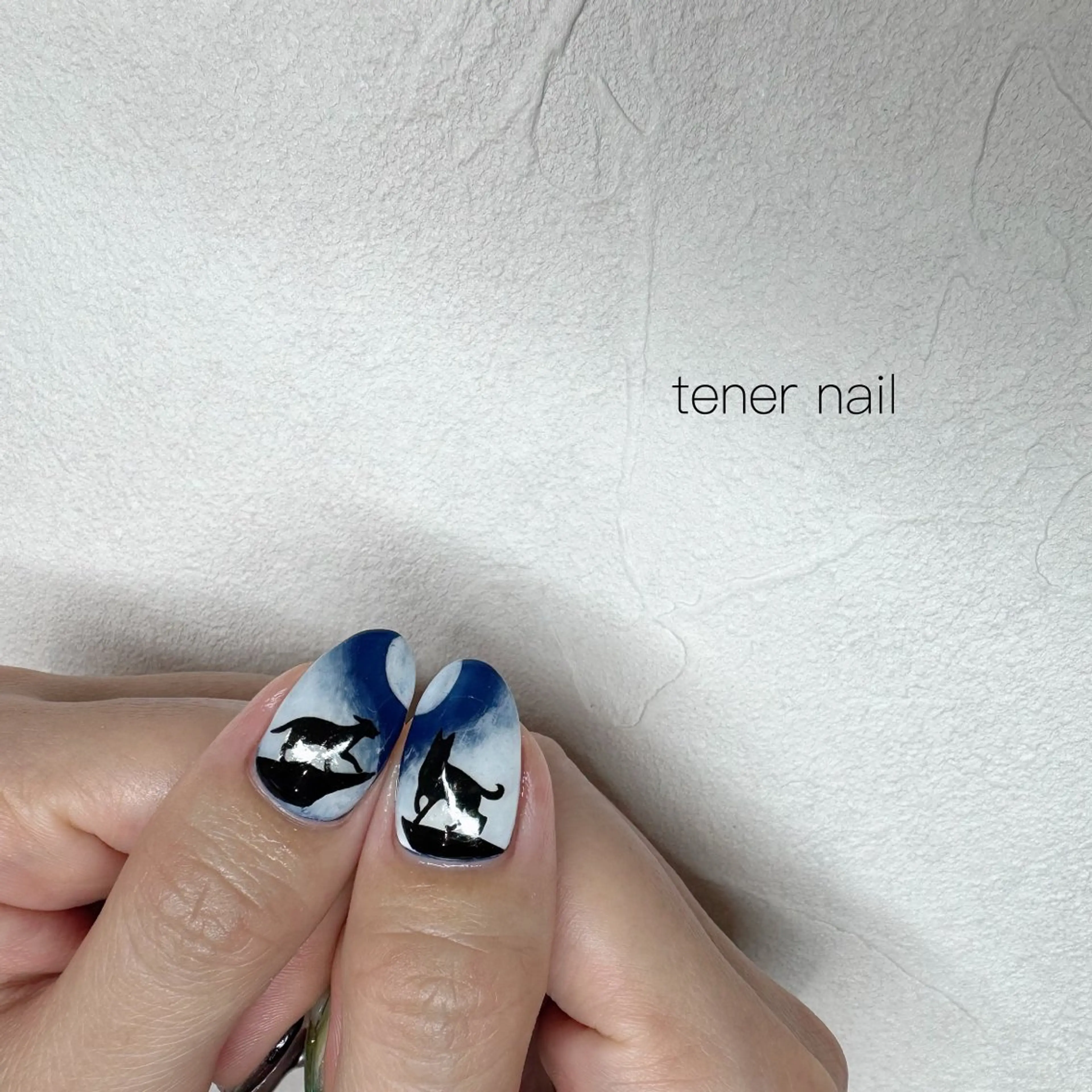 ネイル ハンドネイル tener  nail  テネルネイル所属・テネルネイル tener nailのネイルデザイン