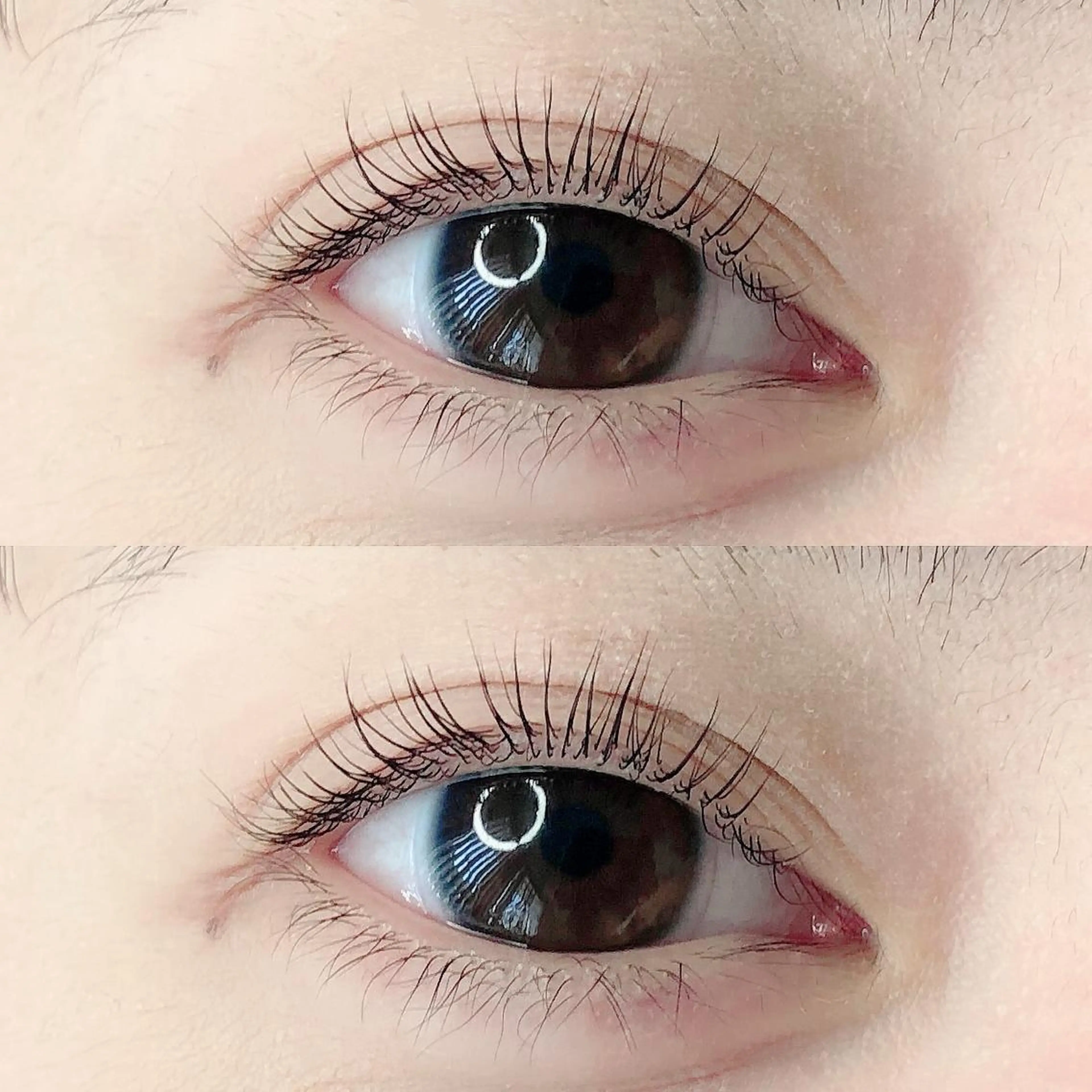 マツエク・マツパ パリジェンヌラッシュリフト terios.所属・terios. MATSUDAのマツエク・マツパデザイン