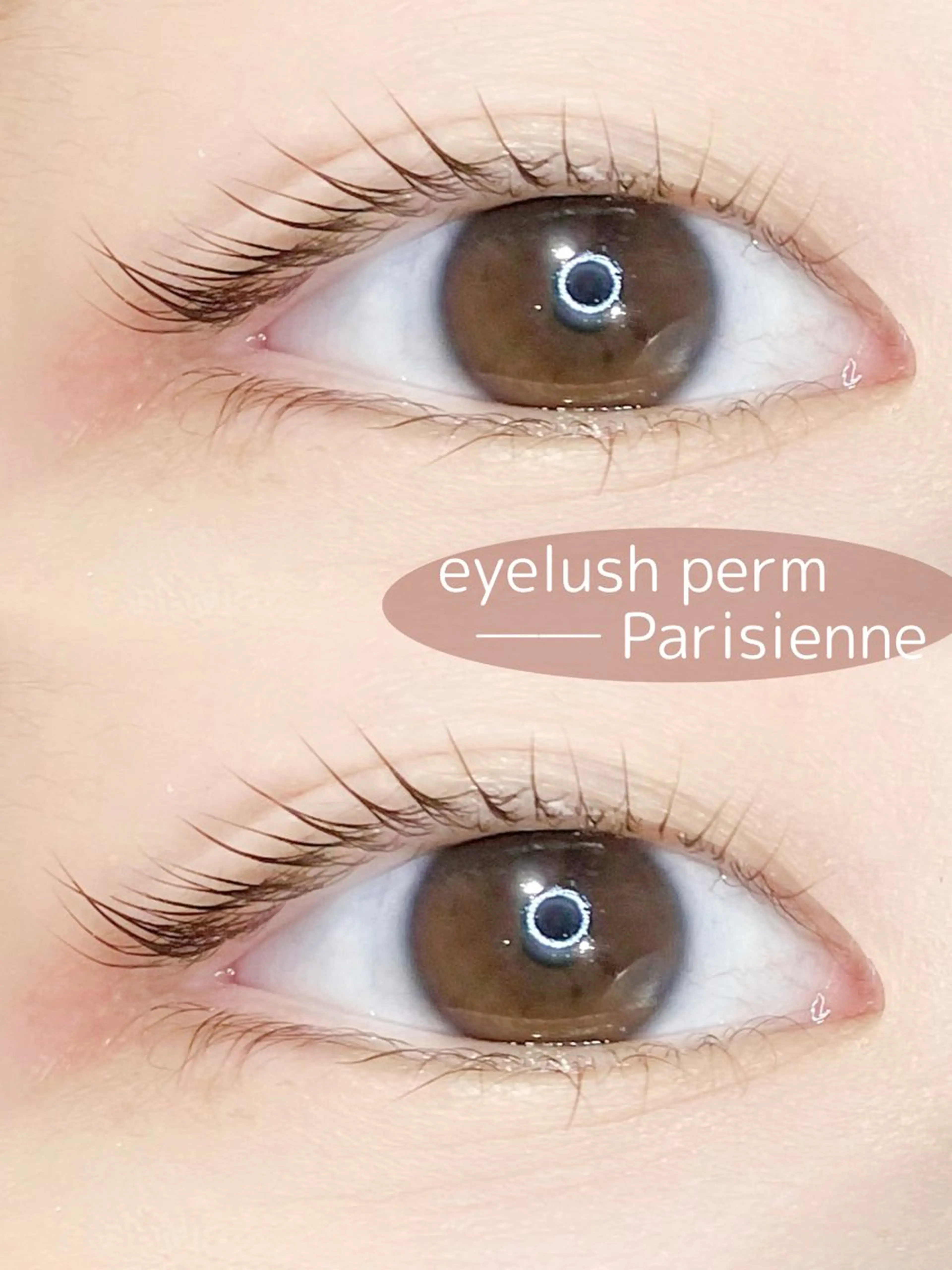 マツエク・マツパ ナチュラル パリジェンヌラッシュリフト マツパ スズキアキエ/カラー /髪質改善/マツパのマツエク・マツパデザイン