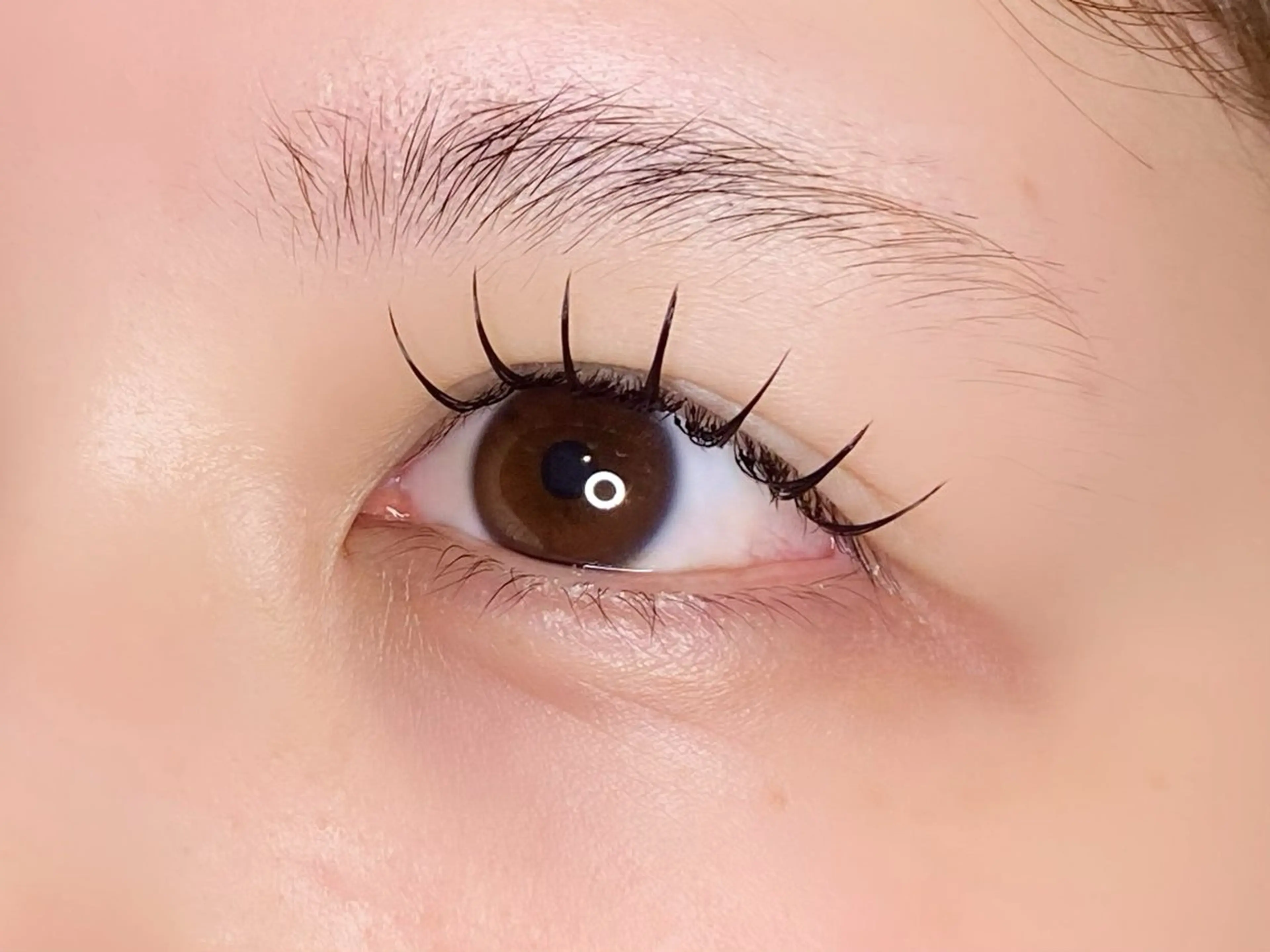 LEDエクステ100本🍒オフありの写真