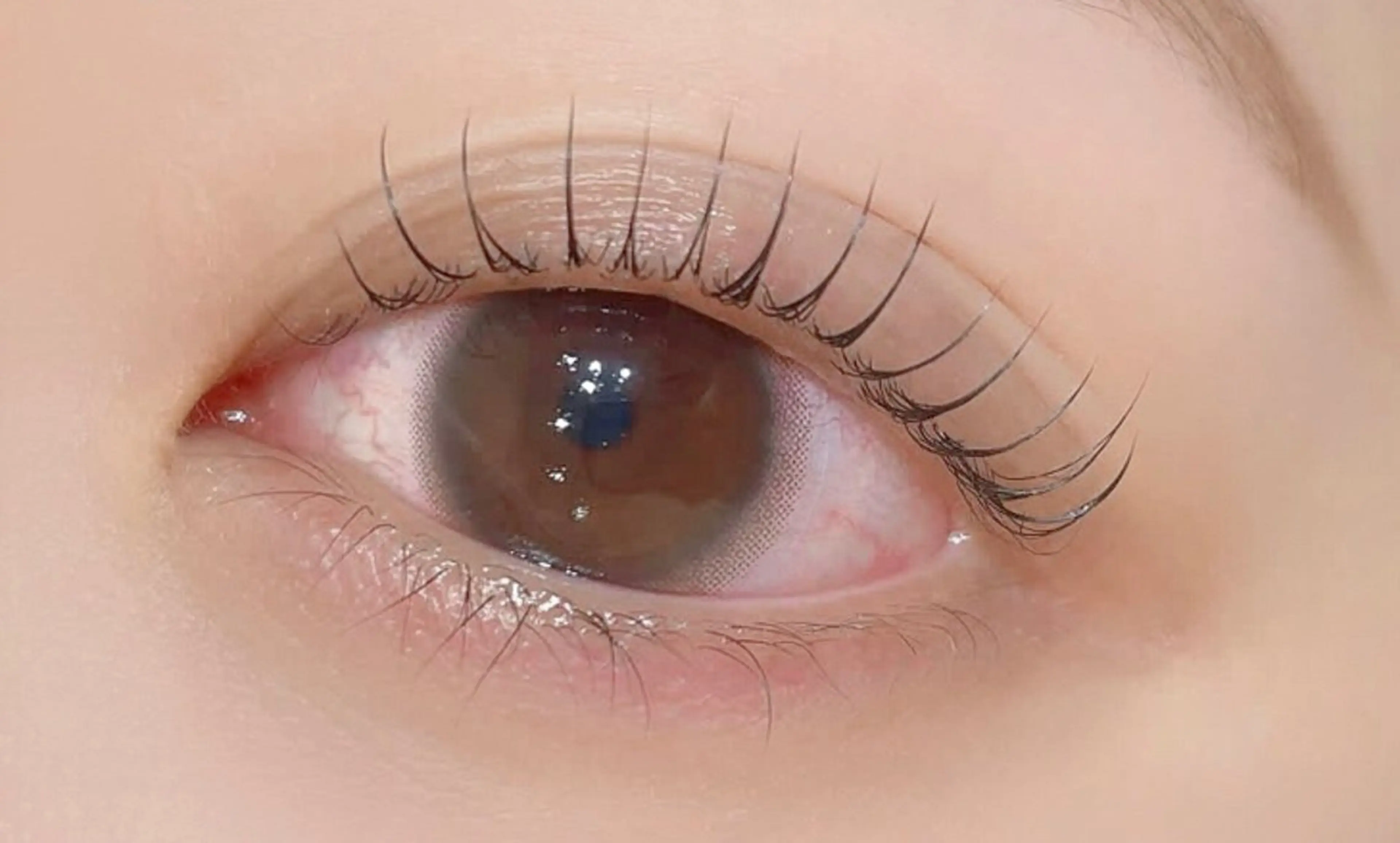 マツエク・マツパ マツパ 🌹ブリランテ🌹 大人気店のマツエク・マツパデザイン