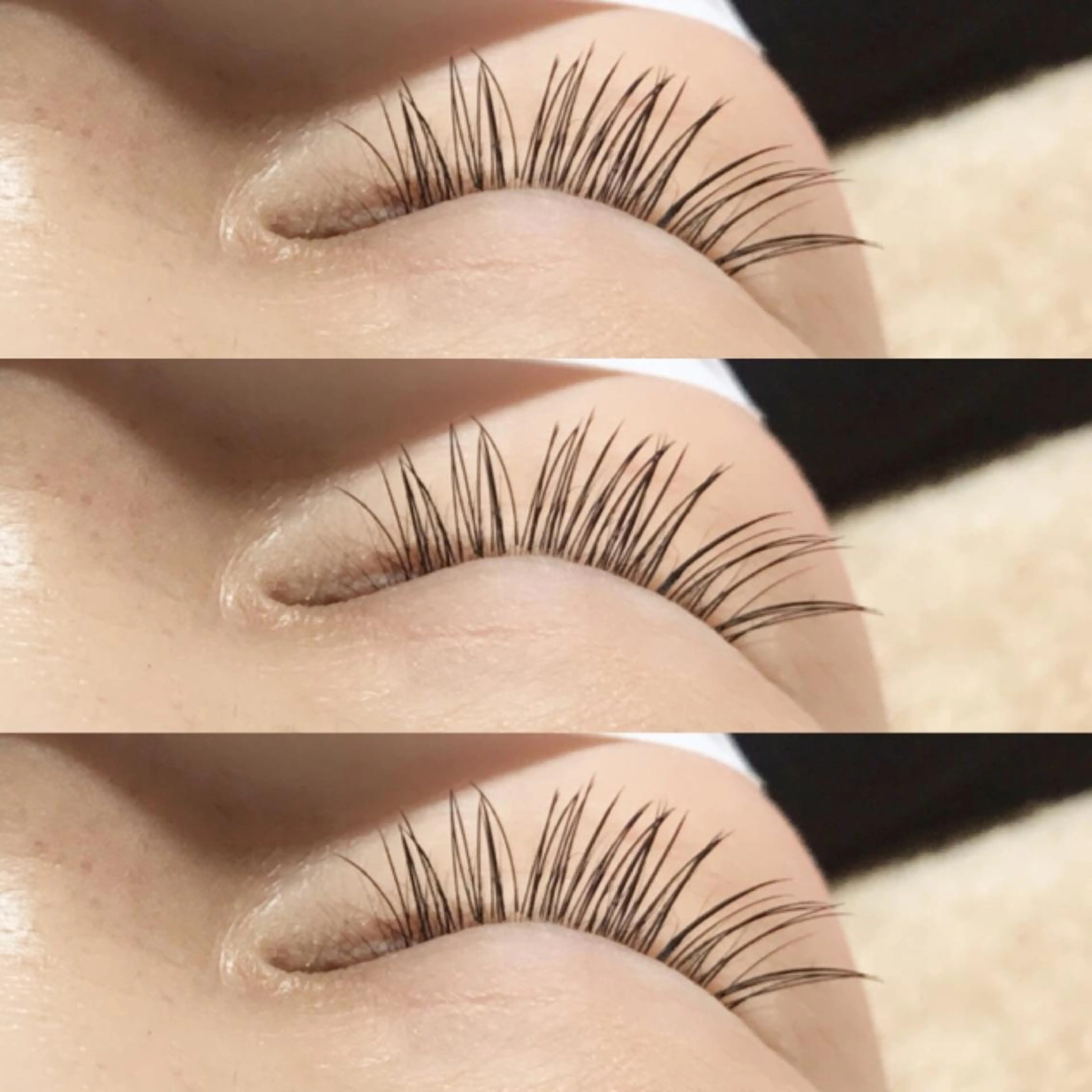 マツエク・マツパ マツエク 《eyelash ｉｉｔｅ》森のマツエク・マツパデザイン