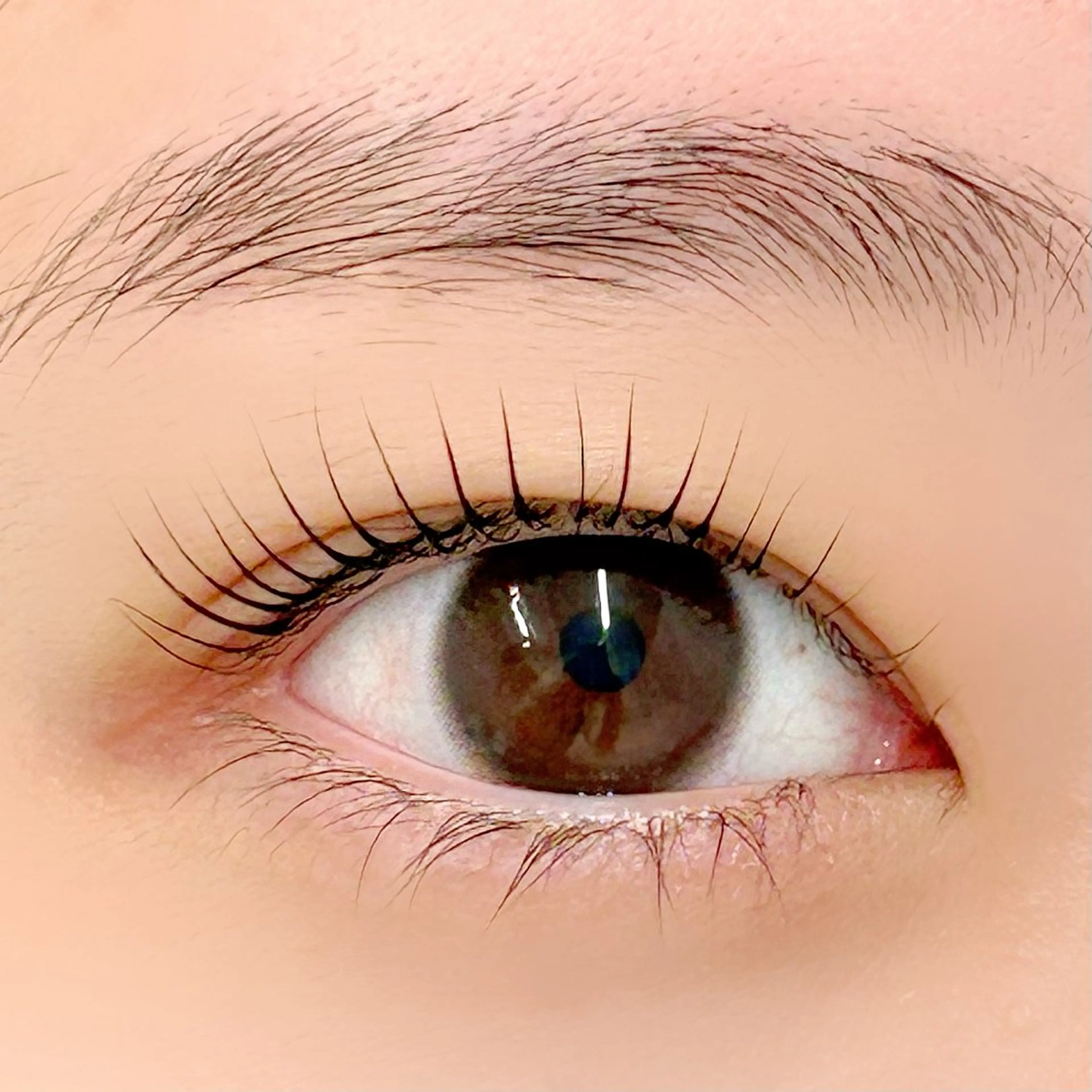 マツエク・マツパ 一重×まつ毛パーマ マツパ BellFlower Aki（眉・まつげ）のマツエク・マツパデザイン