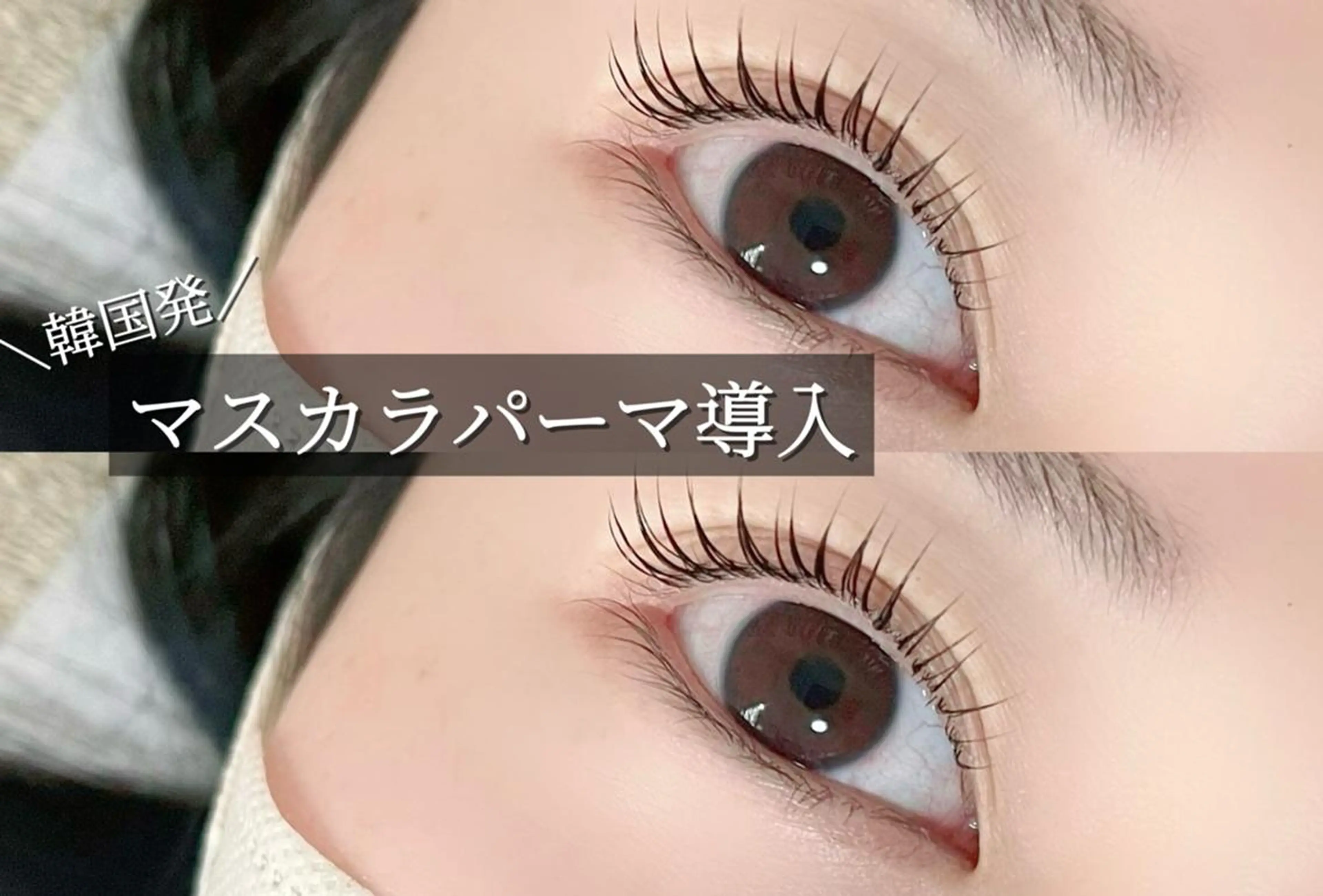 【最新トレンド❣️✨】ブラックティントマスカラパーマ👀パリジェンヌorまつげパーマの写真