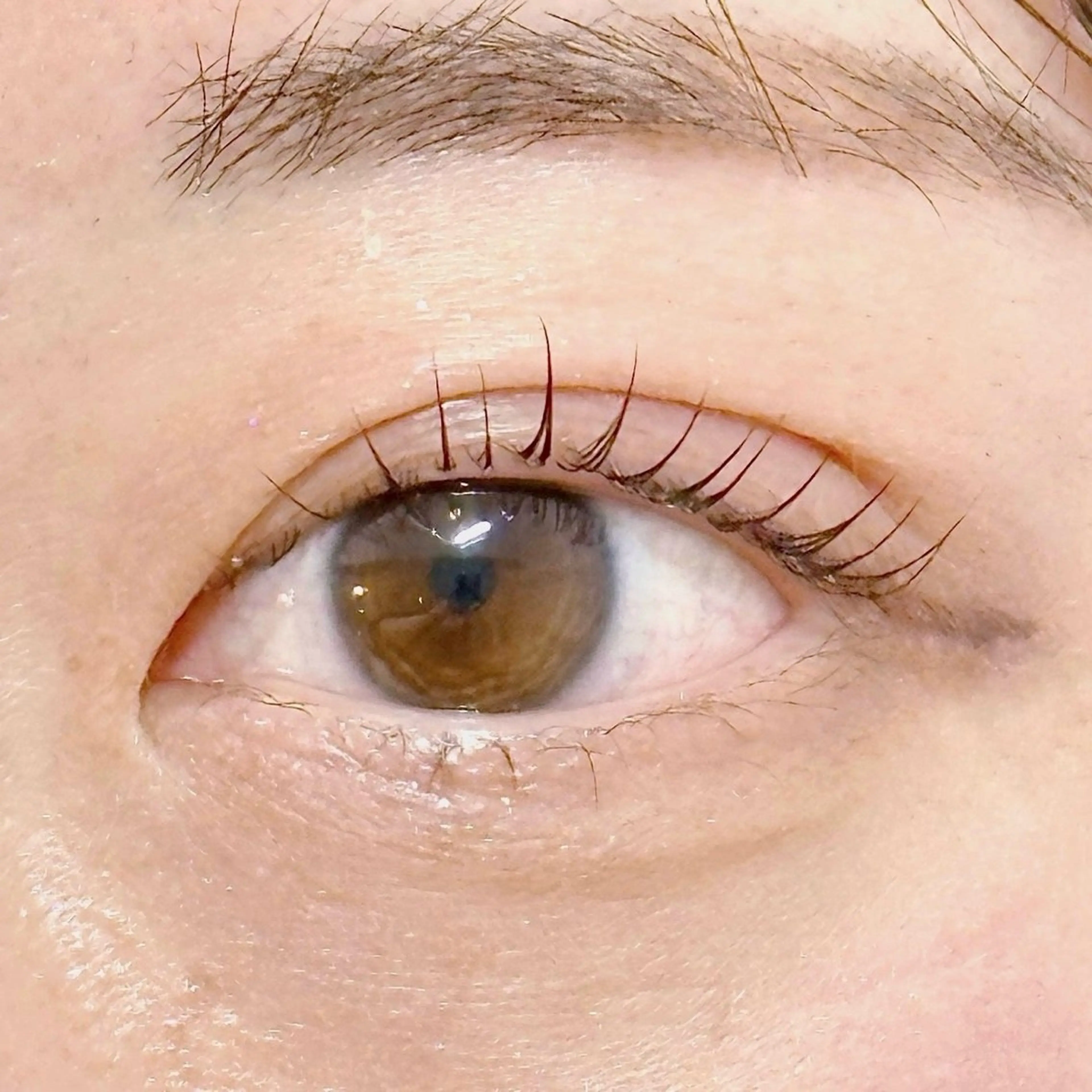 マツエク・マツパ ナチュラル nowe luxe所属・saki🪿🌙 まつげパーマのマツエク・マツパデザイン