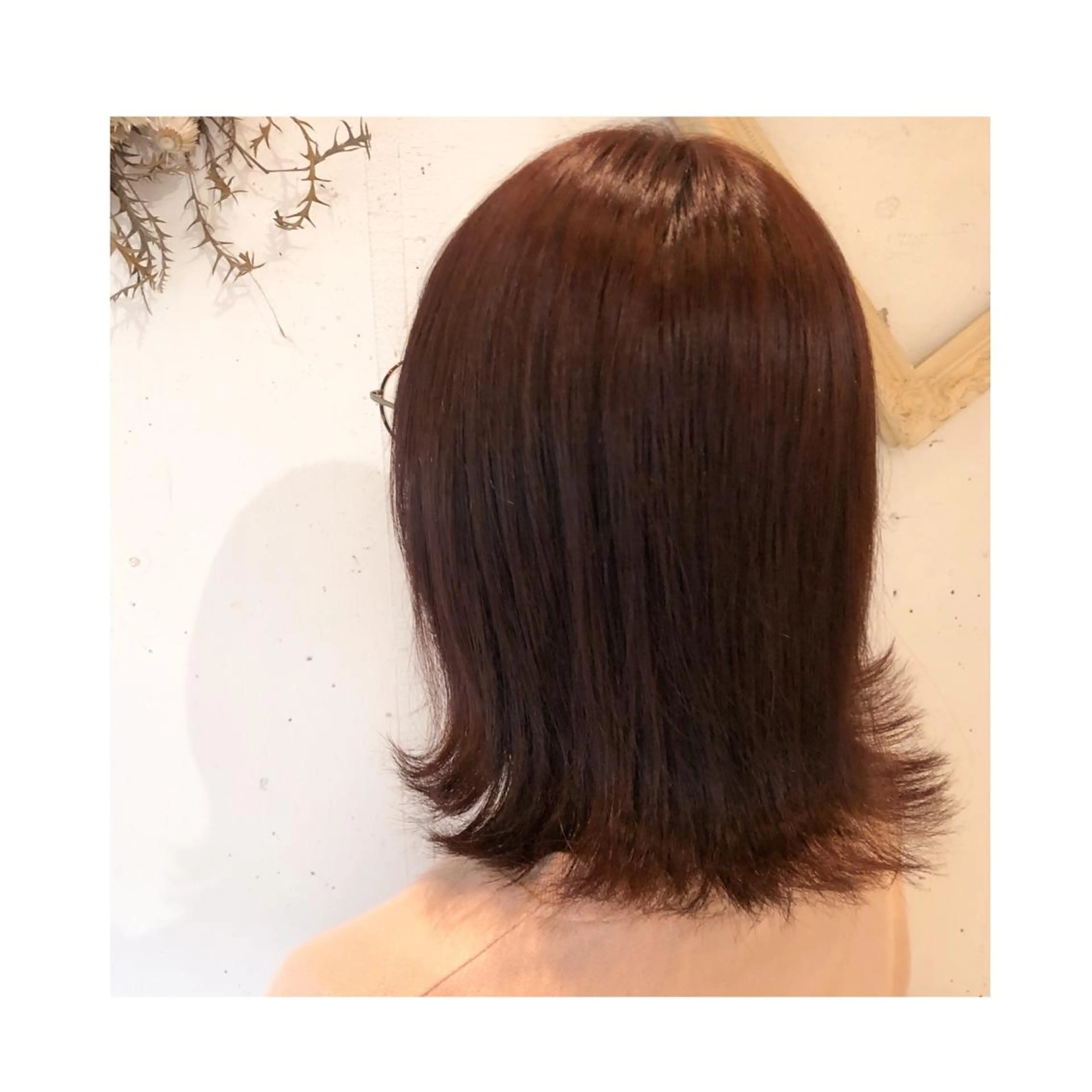 ミディアム カラー ピンクカラー ヘアカラー トリートメント ❁⃘ ち だ り さ ❁⃘のヘアスタイル