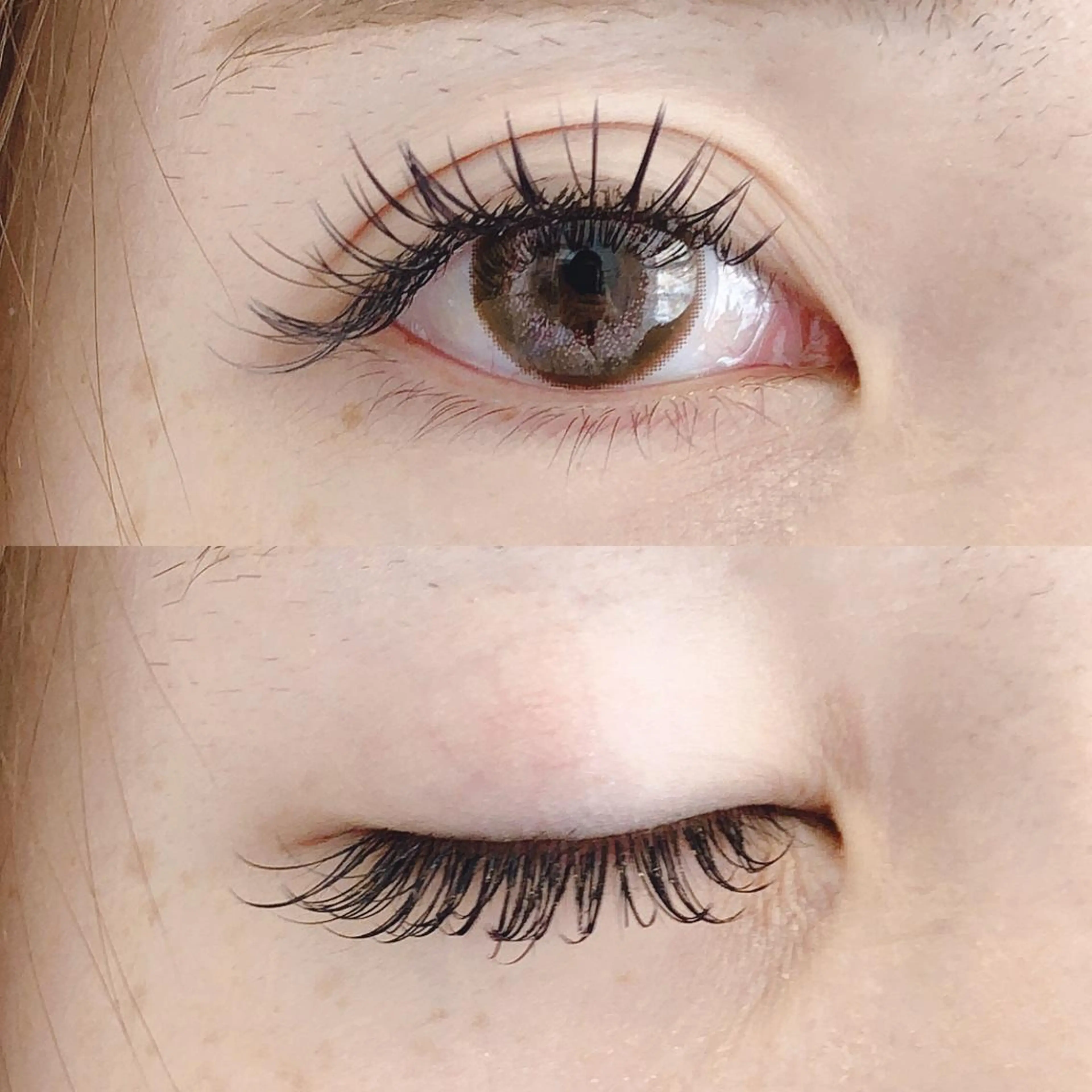 マツエク・マツパ フラットラッシュ ナチュラル Lovit ラビットのマツエク・マツパデザイン