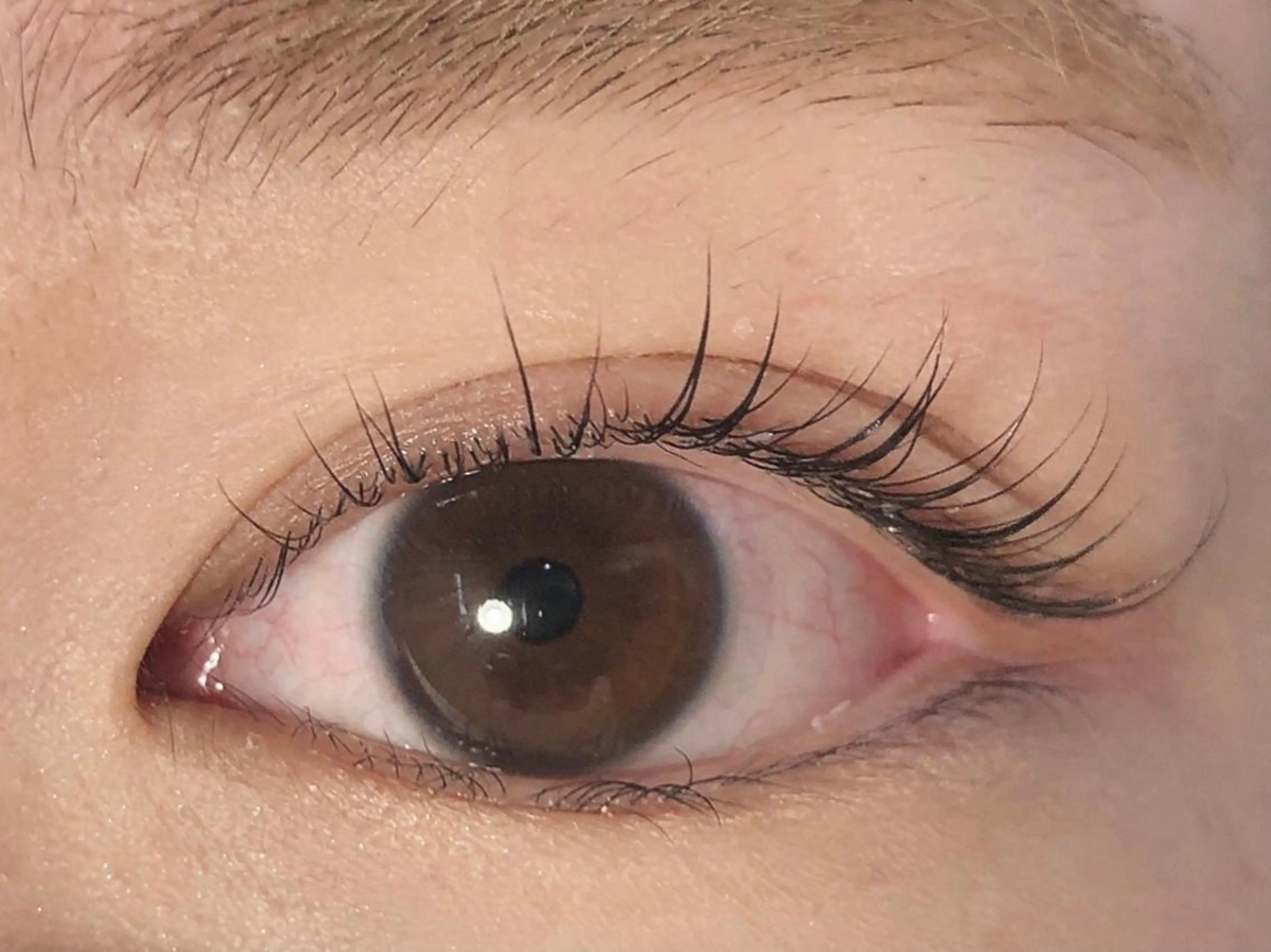 マツエク・マツパ マツパ 🦋eyelist 株 カブ🦋横浜のマツエク・マツパデザイン