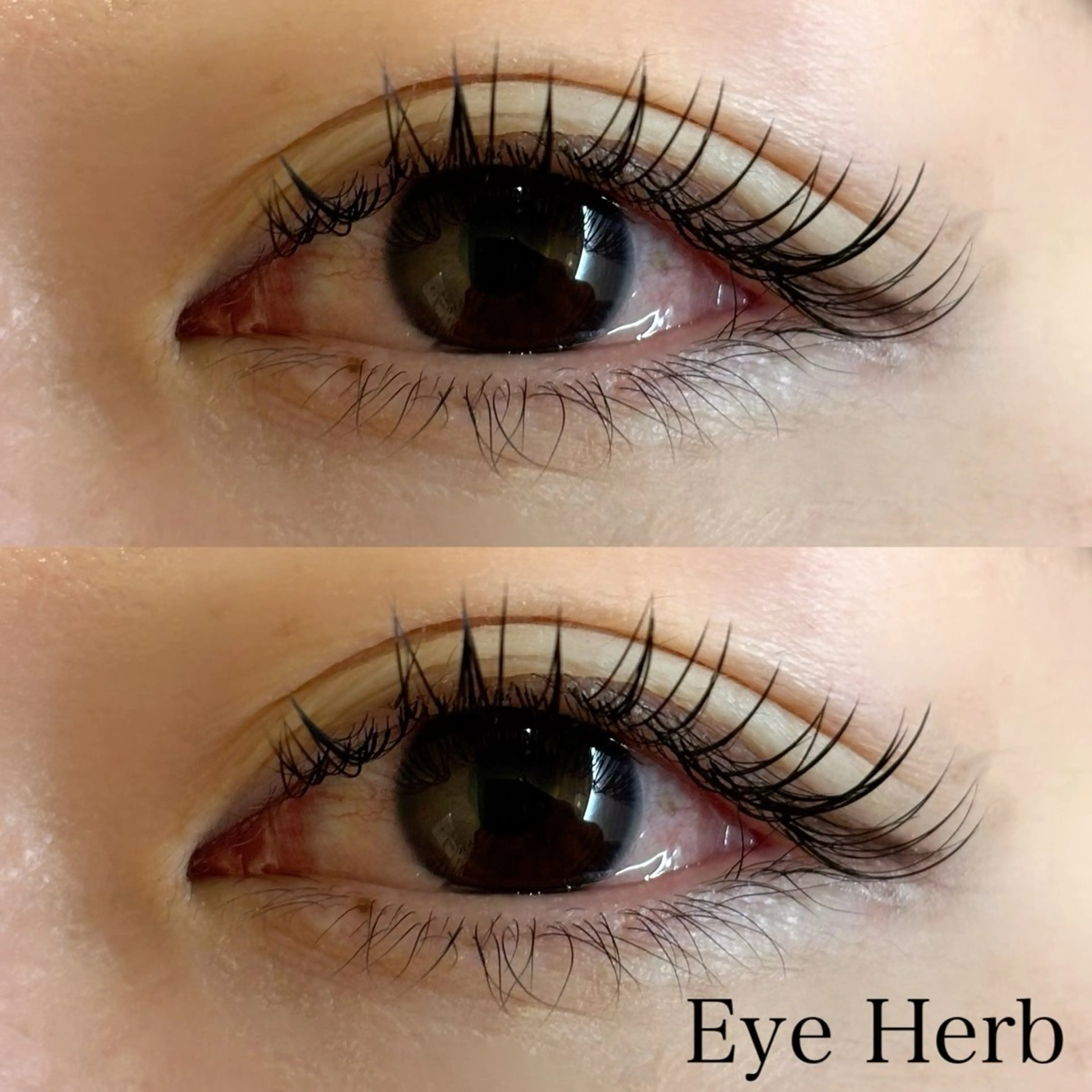 マツエク・マツパ フラットラッシュ EyeHerb ♡rinのマツエク・マツパデザイン