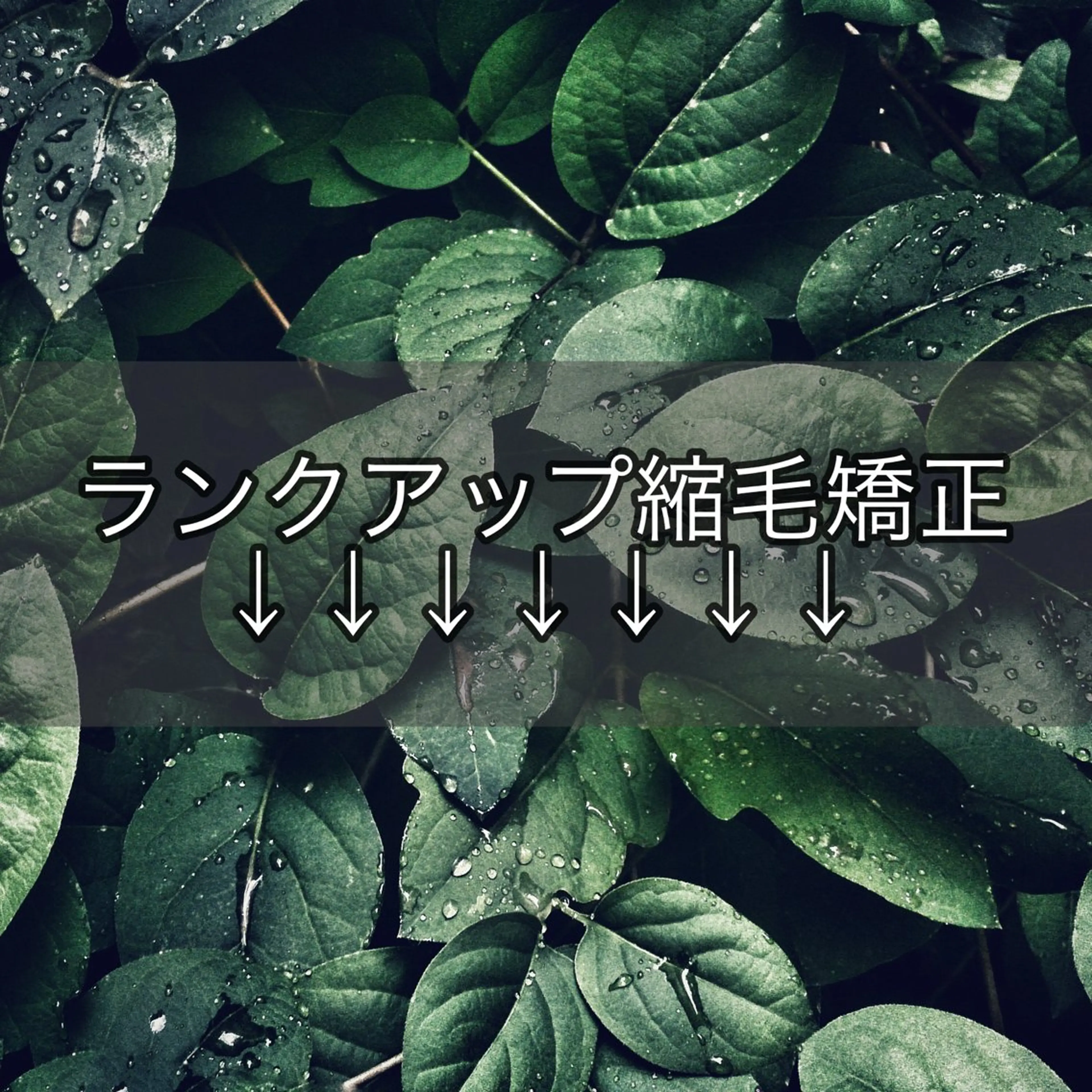 CIEL大名店 Aujua認定サロン【シエル】所属・タカヤマ タクミ /縮毛矯正/髪質改善のヘアスタイル