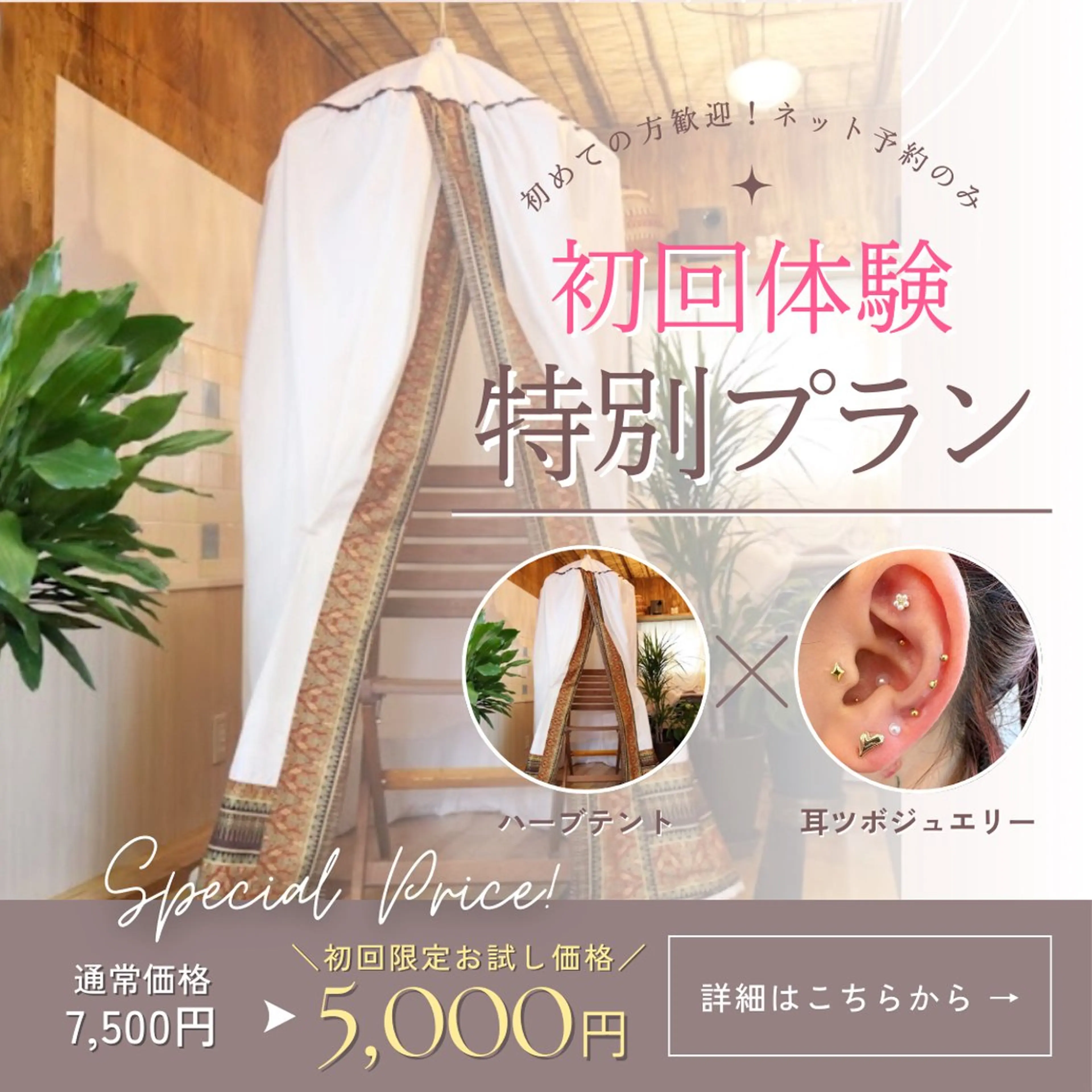 🌟１２月限定🌟ハーブテント＋耳ツボジュエリー💎の写真