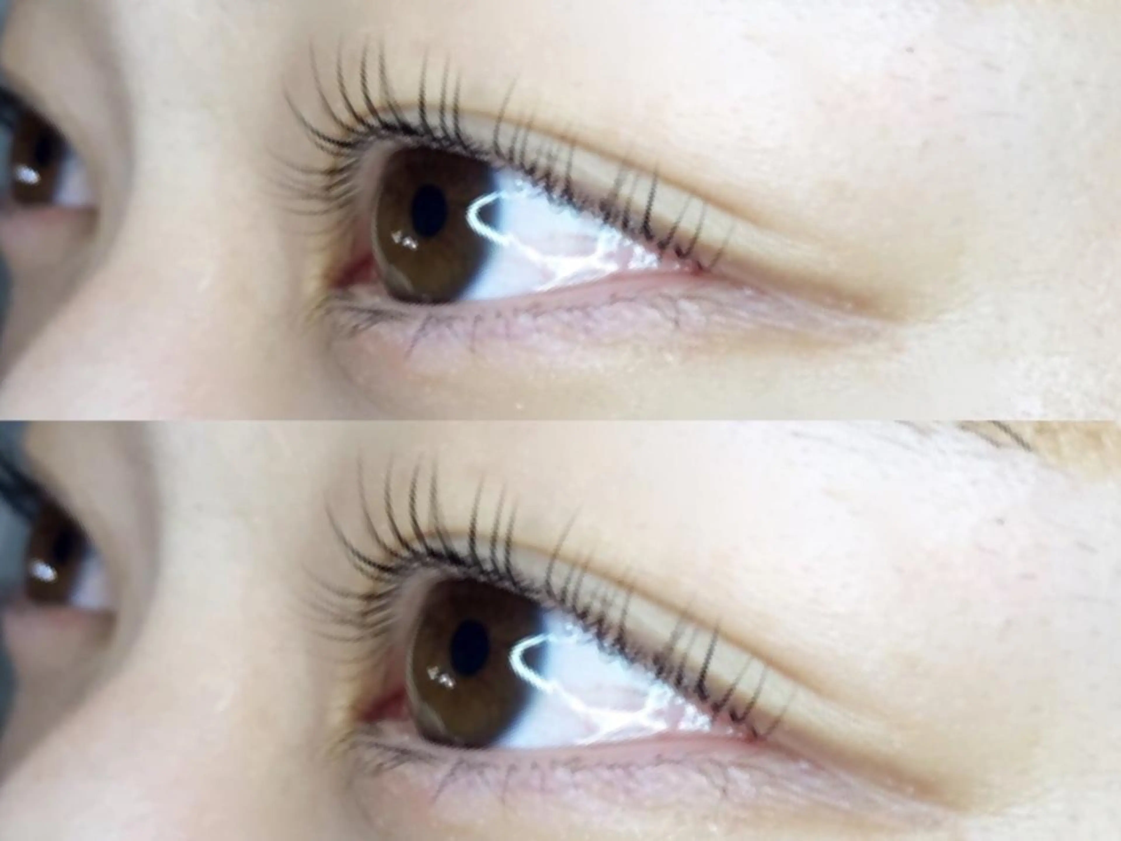 マツエク・マツパ マツパ 《eyelash ｉｉｔｅ》森のマツエク・マツパデザイン