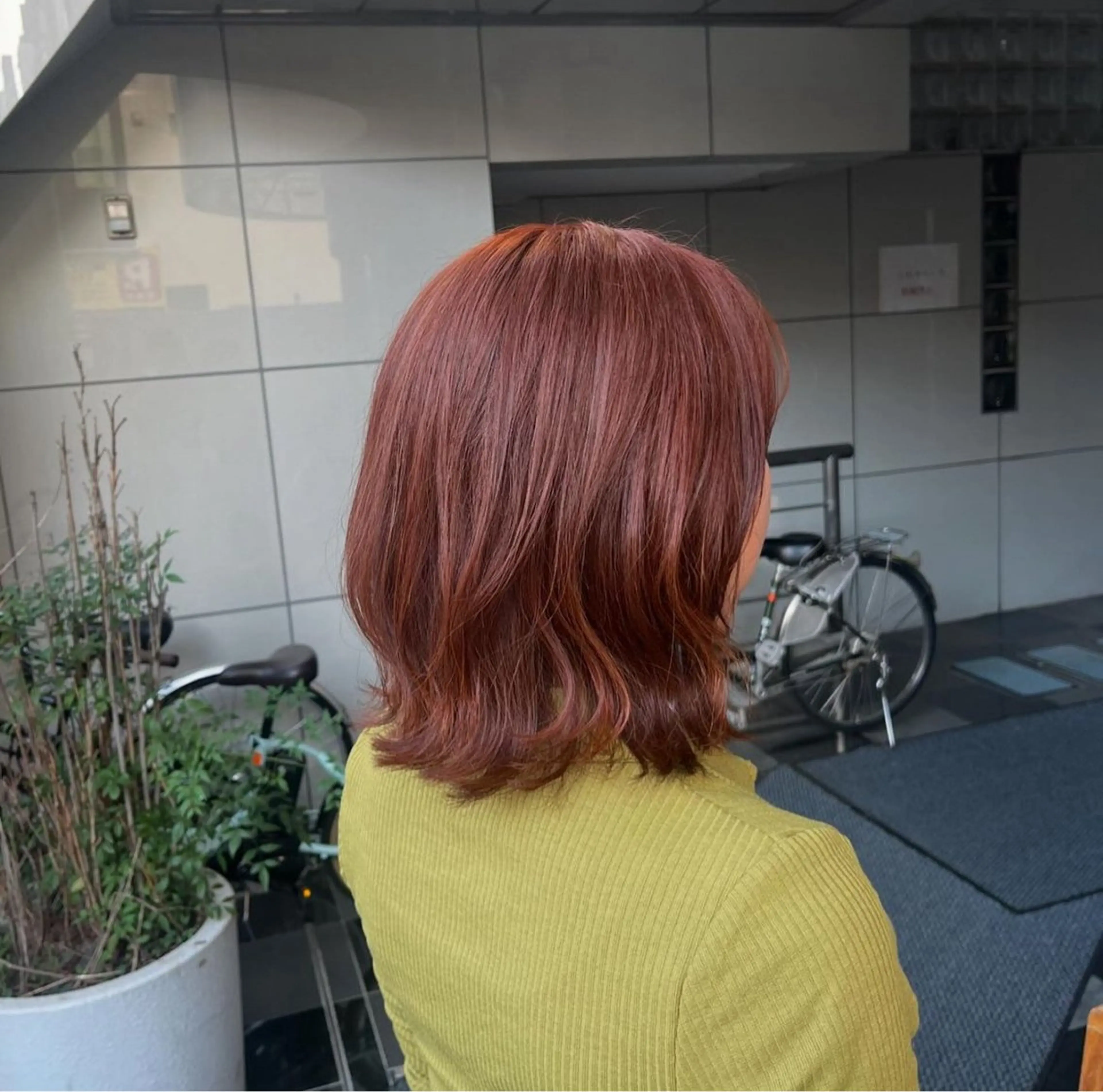 ミディアム カット ヘアカラー トリートメント 森 ハリス誠一のヘアスタイル