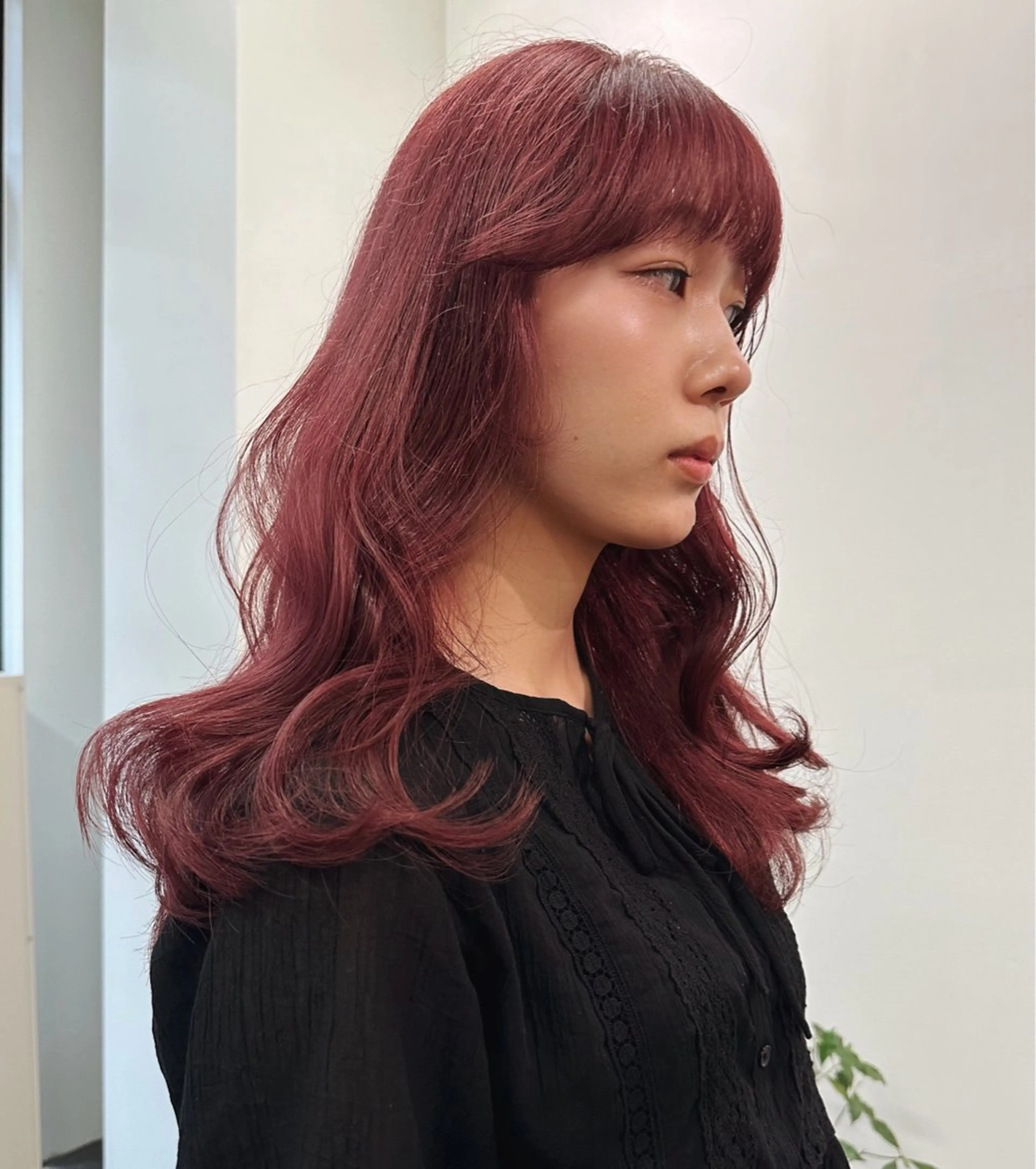 透明感ダブルカラーの写真