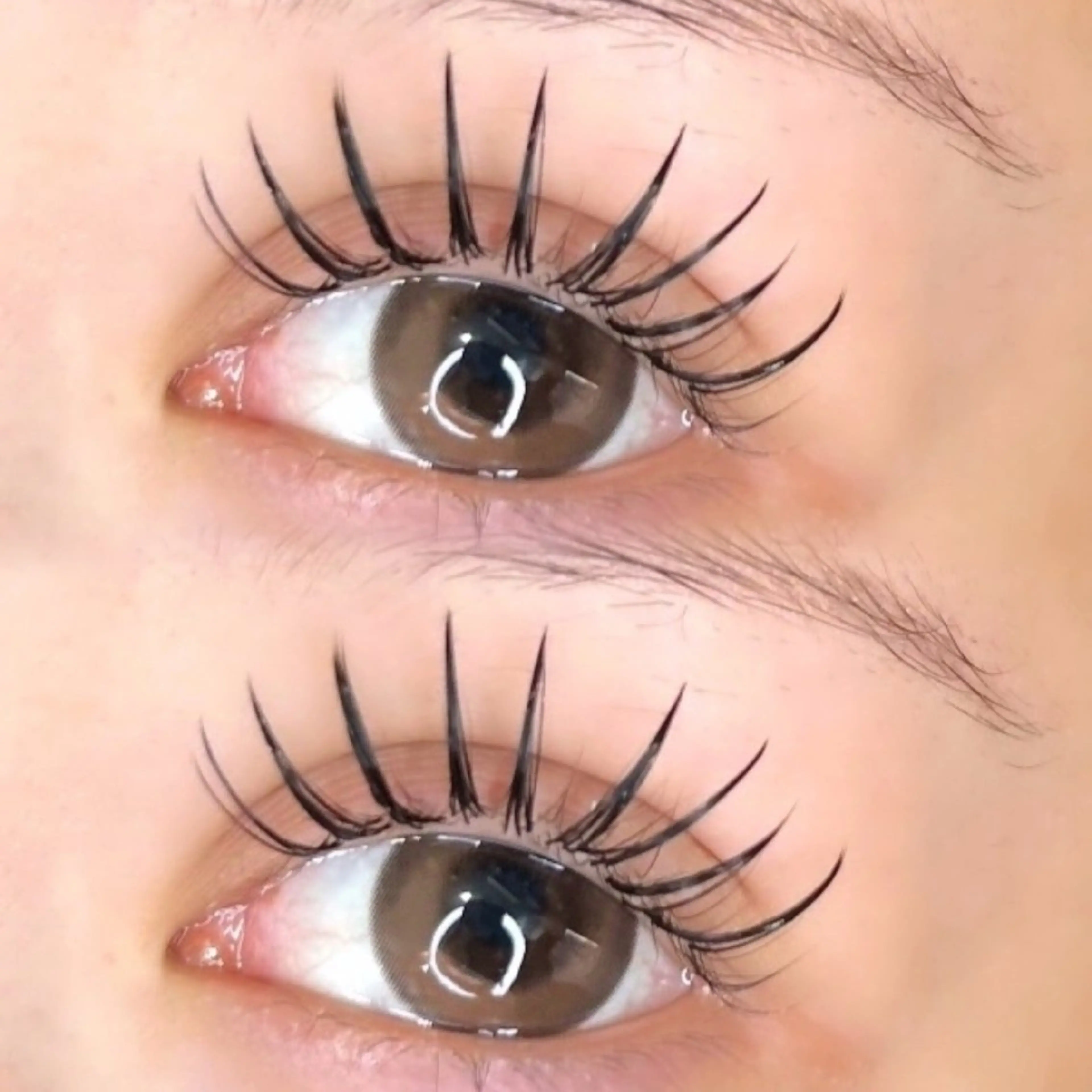 マツエク・マツパ マツエク foi by eyeartistsのマツエク・マツパデザイン