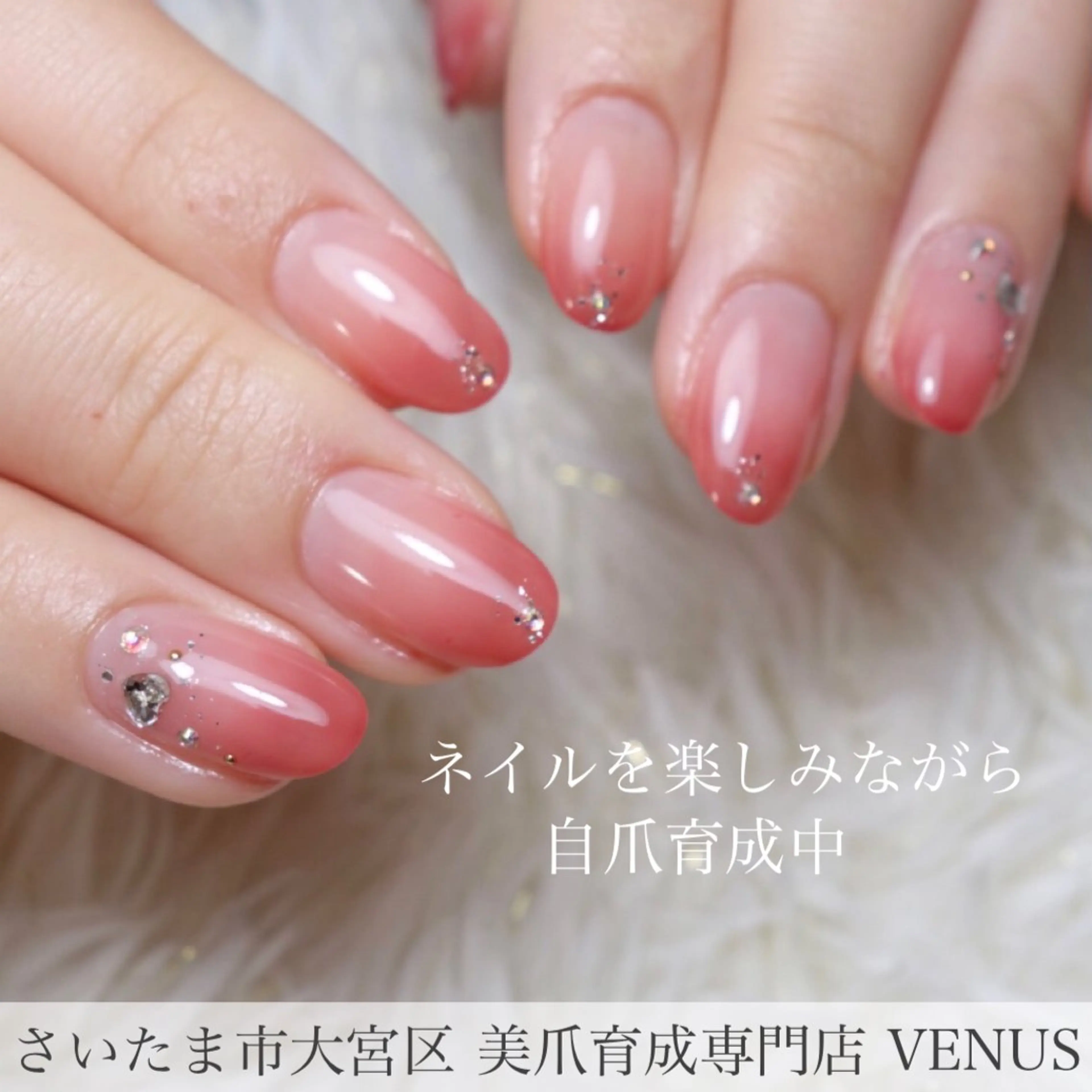 ネイル グラデーション ワンカラーネイル nailsalon VENUSのネイルデザイン
