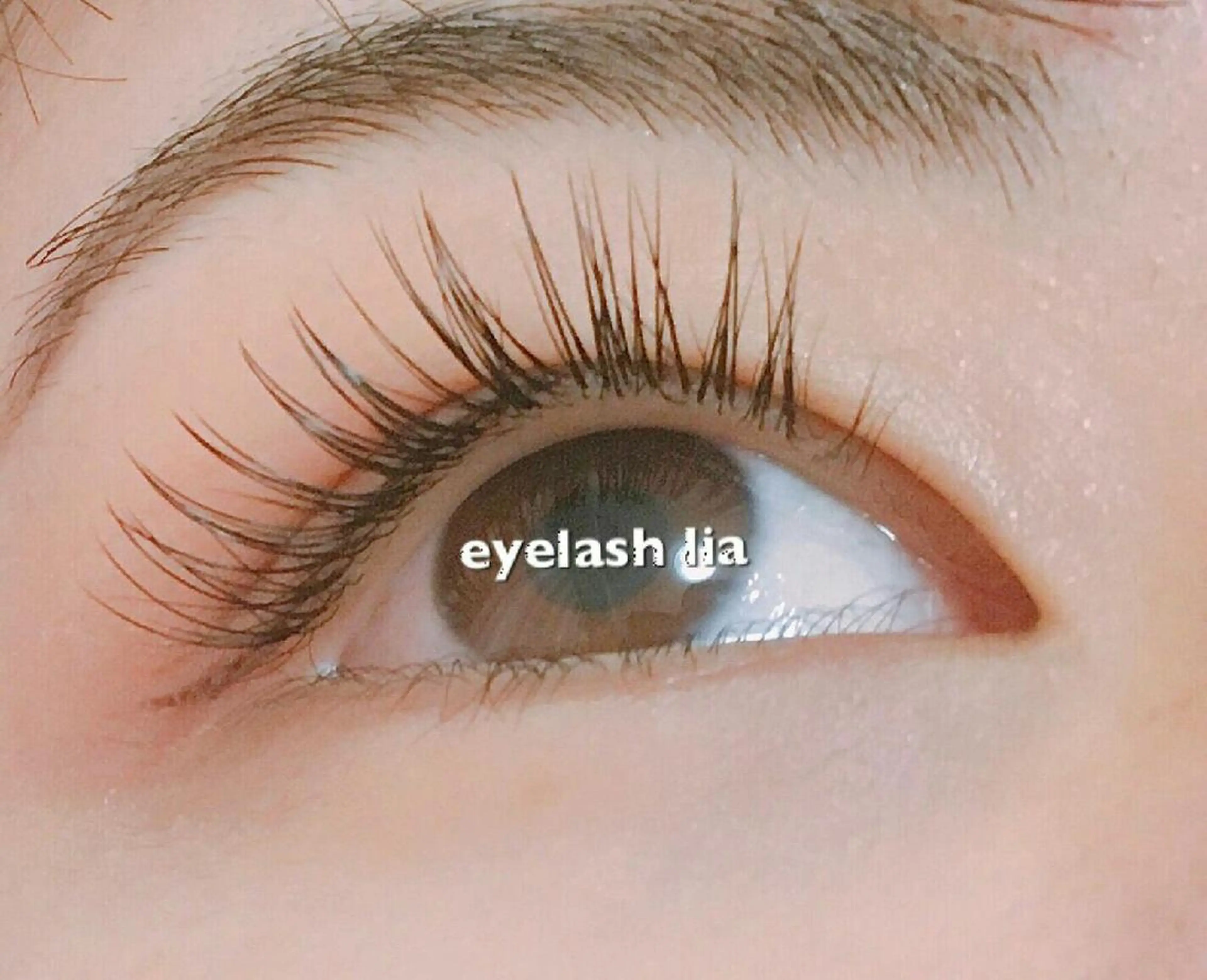 マツエク・マツパ ナチュラル eyelashlia mukaiのマツエク・マツパデザイン