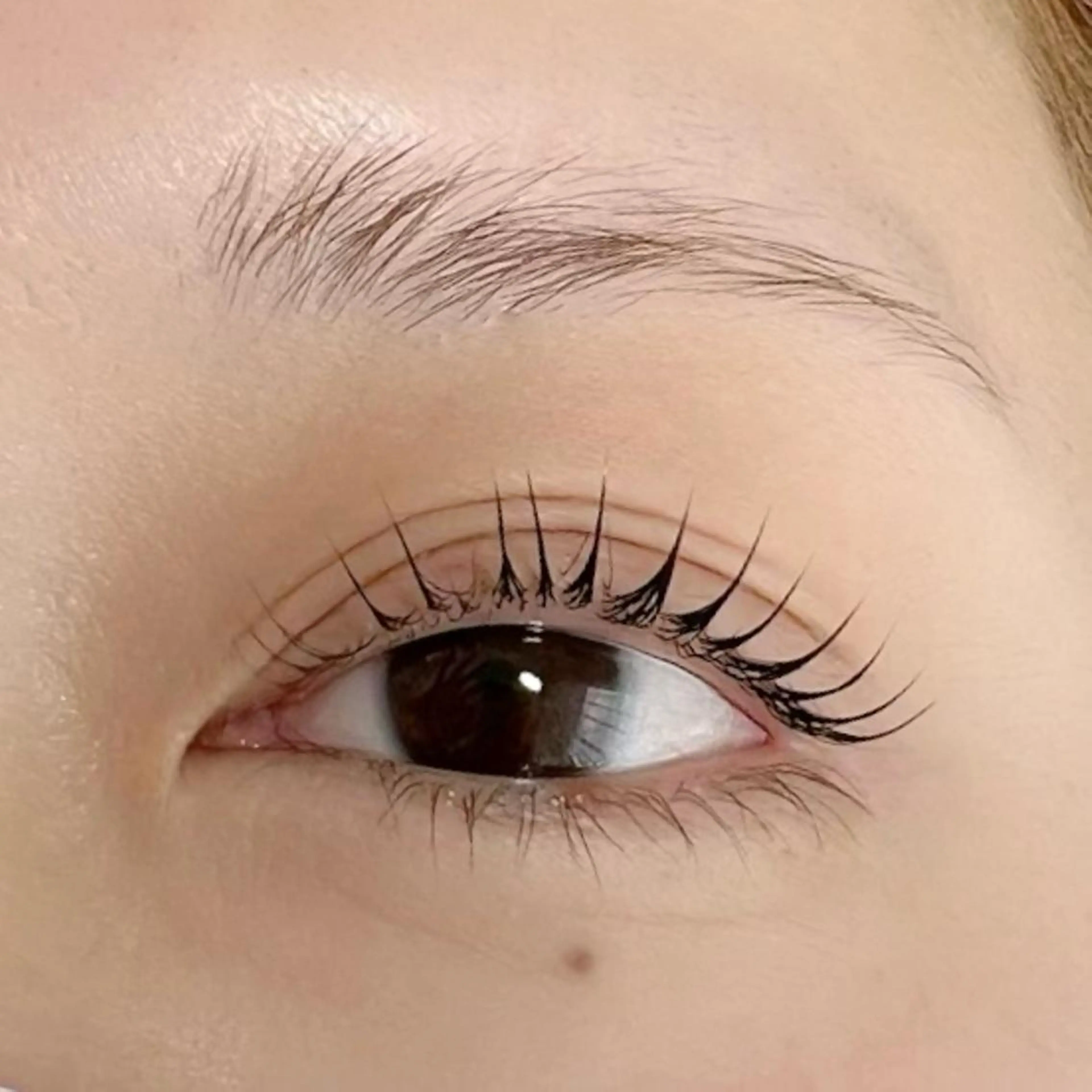 ラッシュリフト上(まつげパーマ)💎美容液コーティング付きの写真