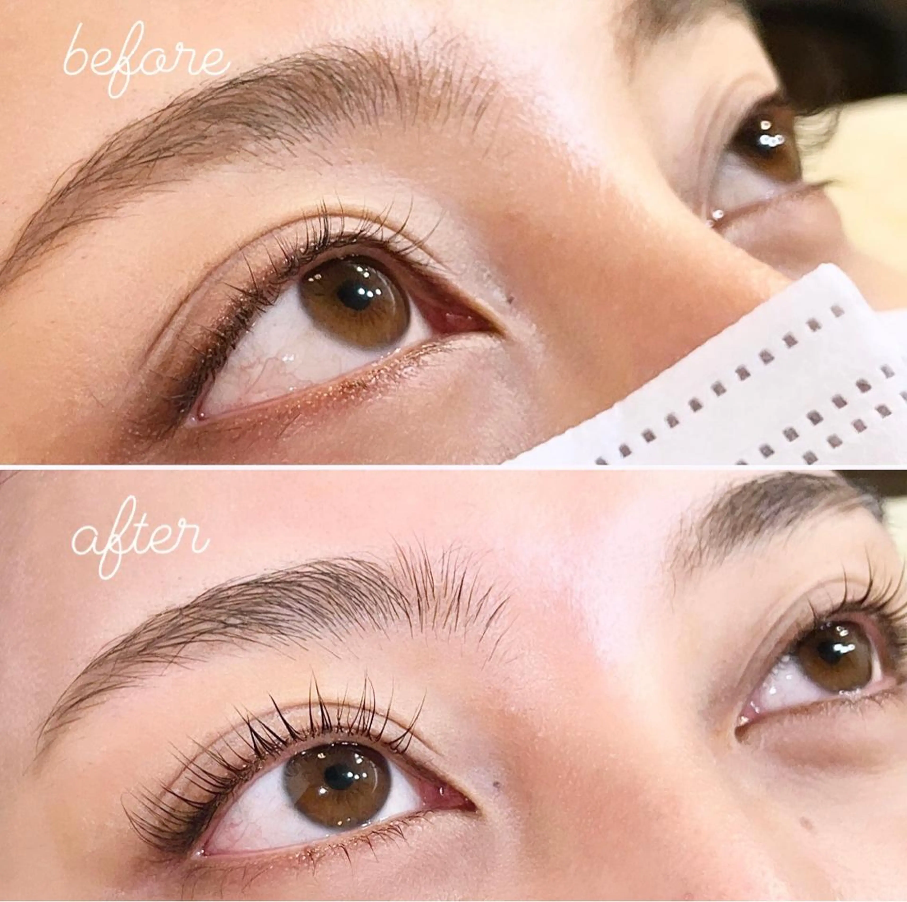 マツエク・マツパ パリジェンヌラッシュリフト Felice学芸大学/まつげ/眉毛専門サロン所属・Felice AYAの眉毛・アイブロウイメージ