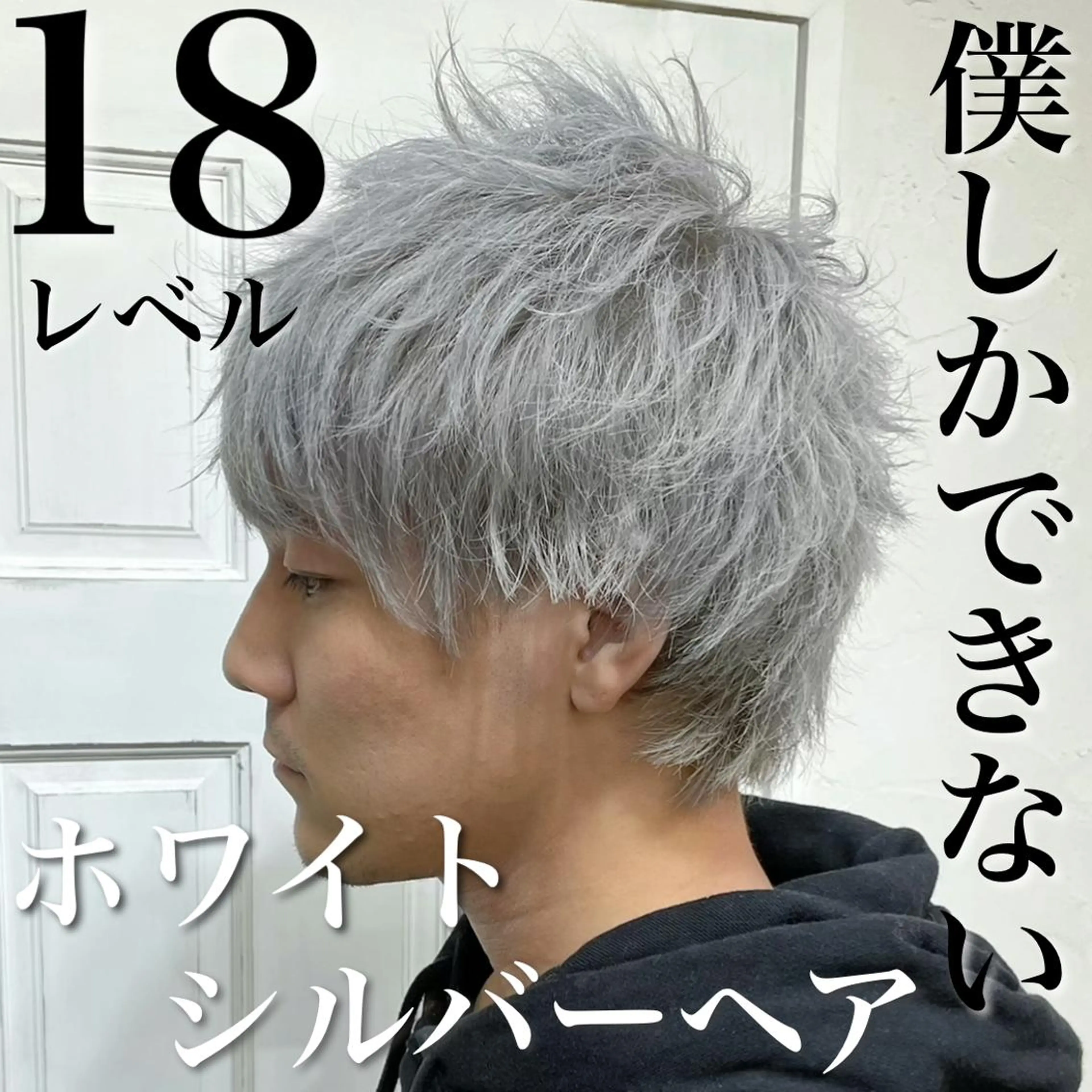カラー メンズ メンズブリーチ ブリーチ シルバー ホワイトシルバー カット ヘアカラー トリートメント Soleria /ソレリア所属・メンズカットのプロ 田中慎一のヘアスタイル