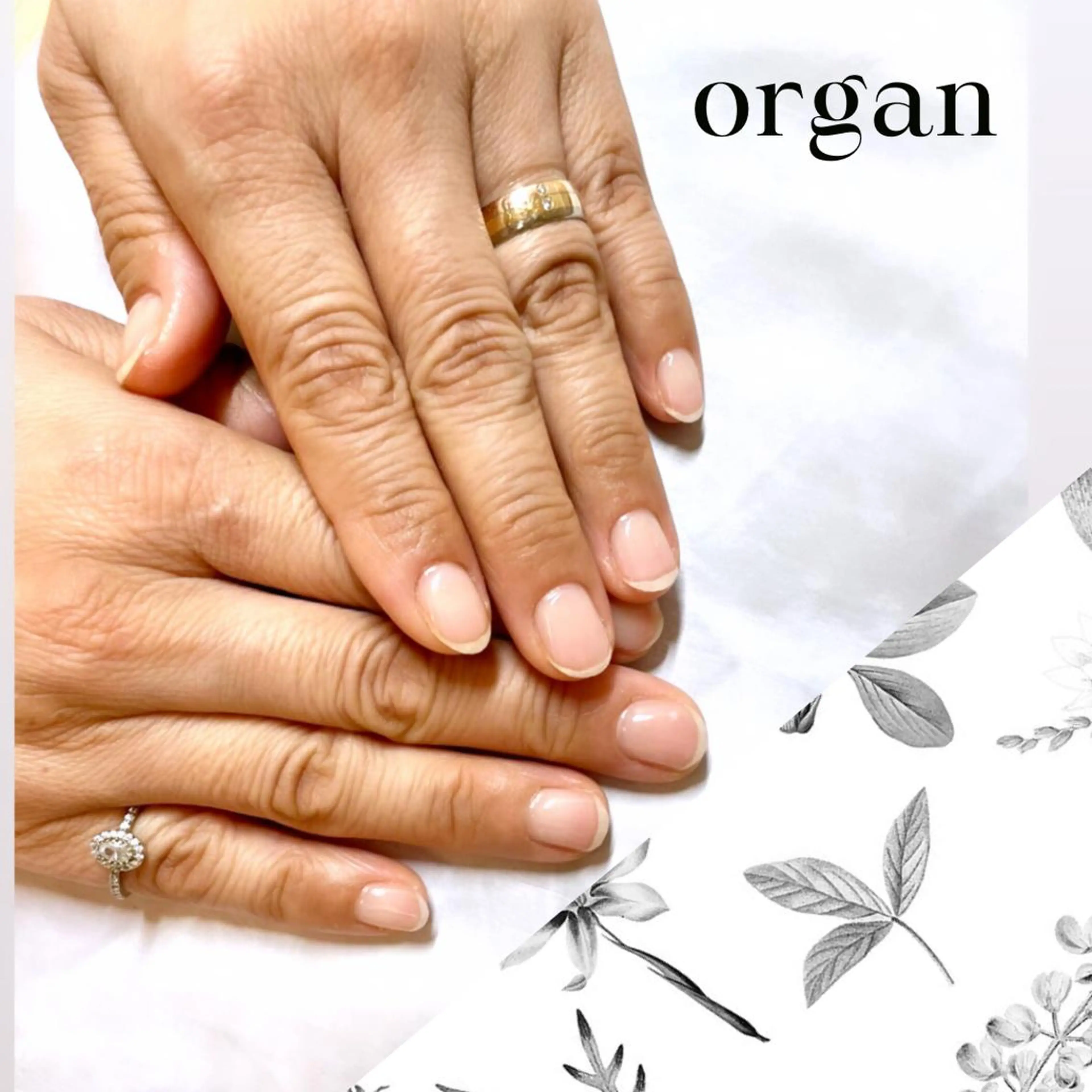 ネイル クリアネイル 【ＯＲＧＡＮ】 nailのネイルデザイン