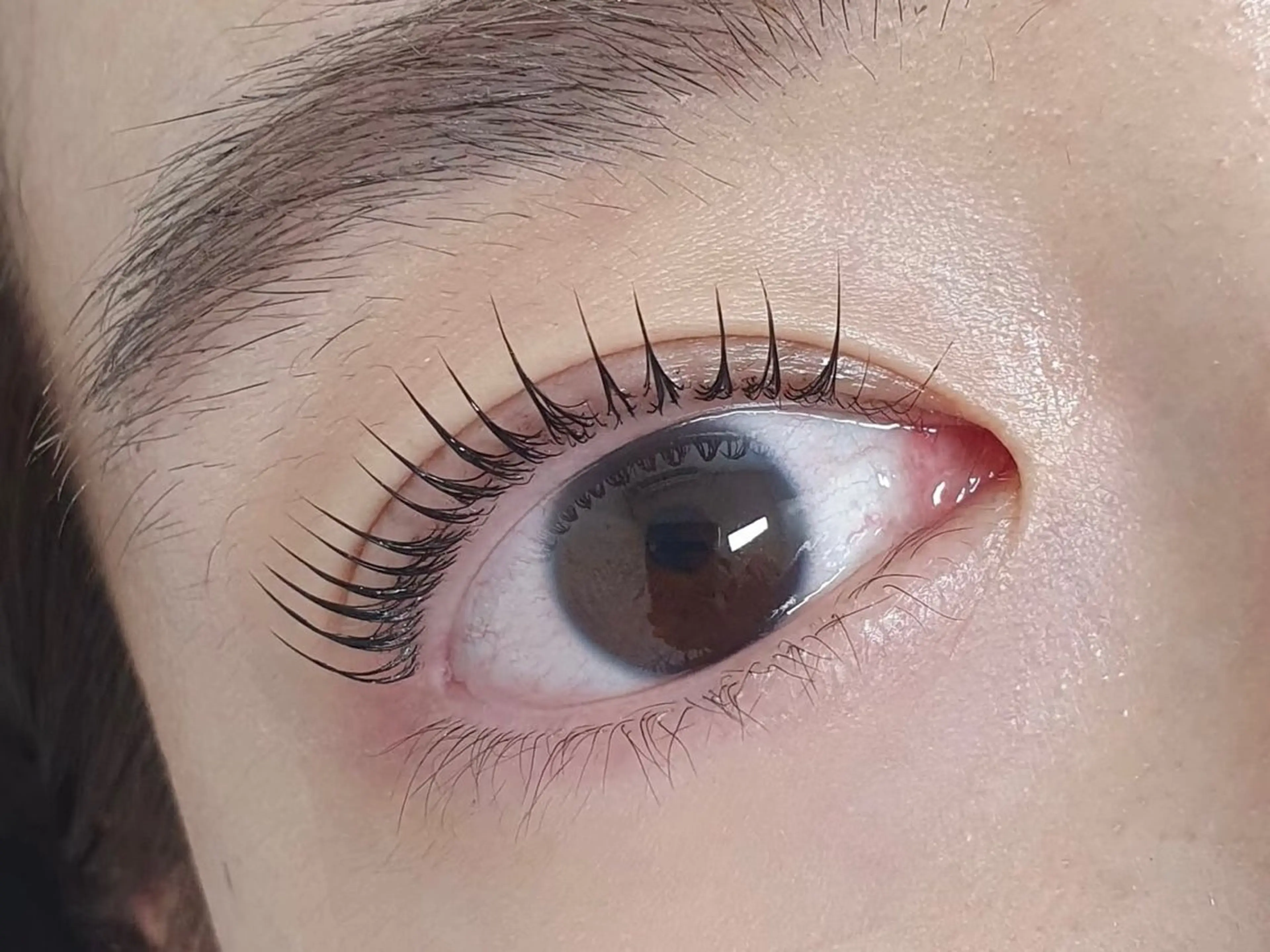 まつ毛パーマ（アイシャンプー・ケラチントリートメント・コーティング込）の写真