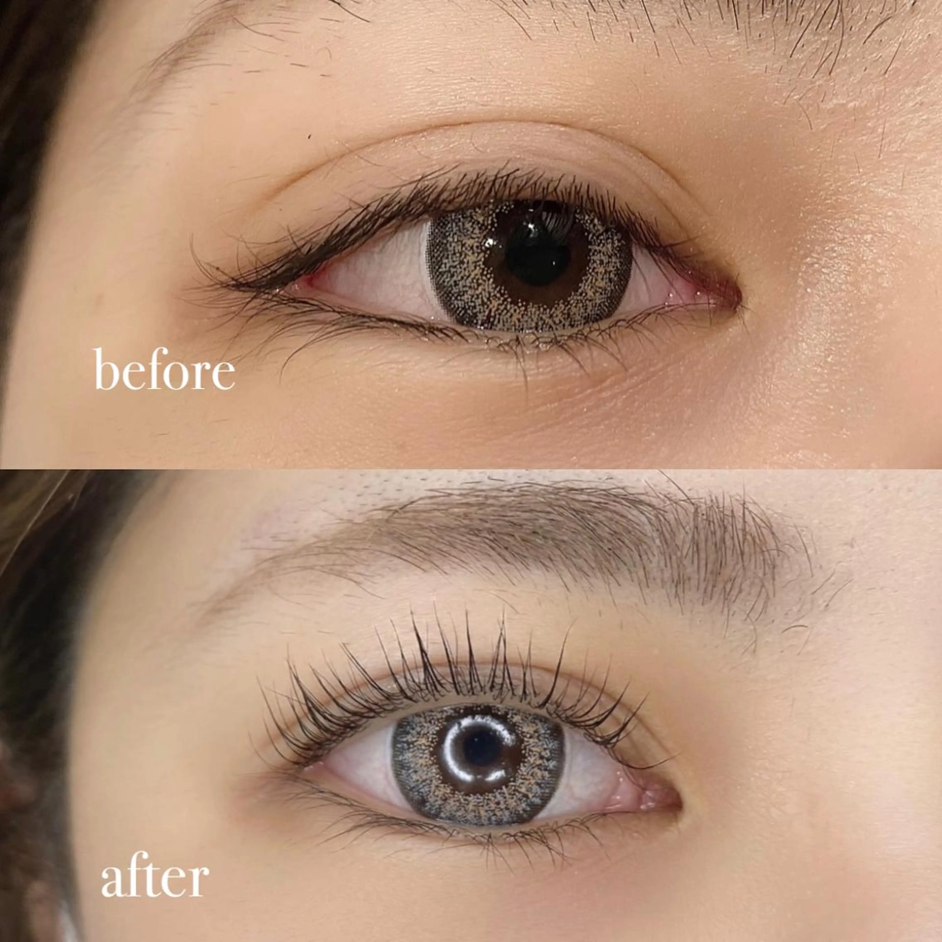 マツエク・マツパ パリジェンヌラッシュリフト マツパ Ai Quick 北千住🌿saitoの眉毛・アイブロウイメージ