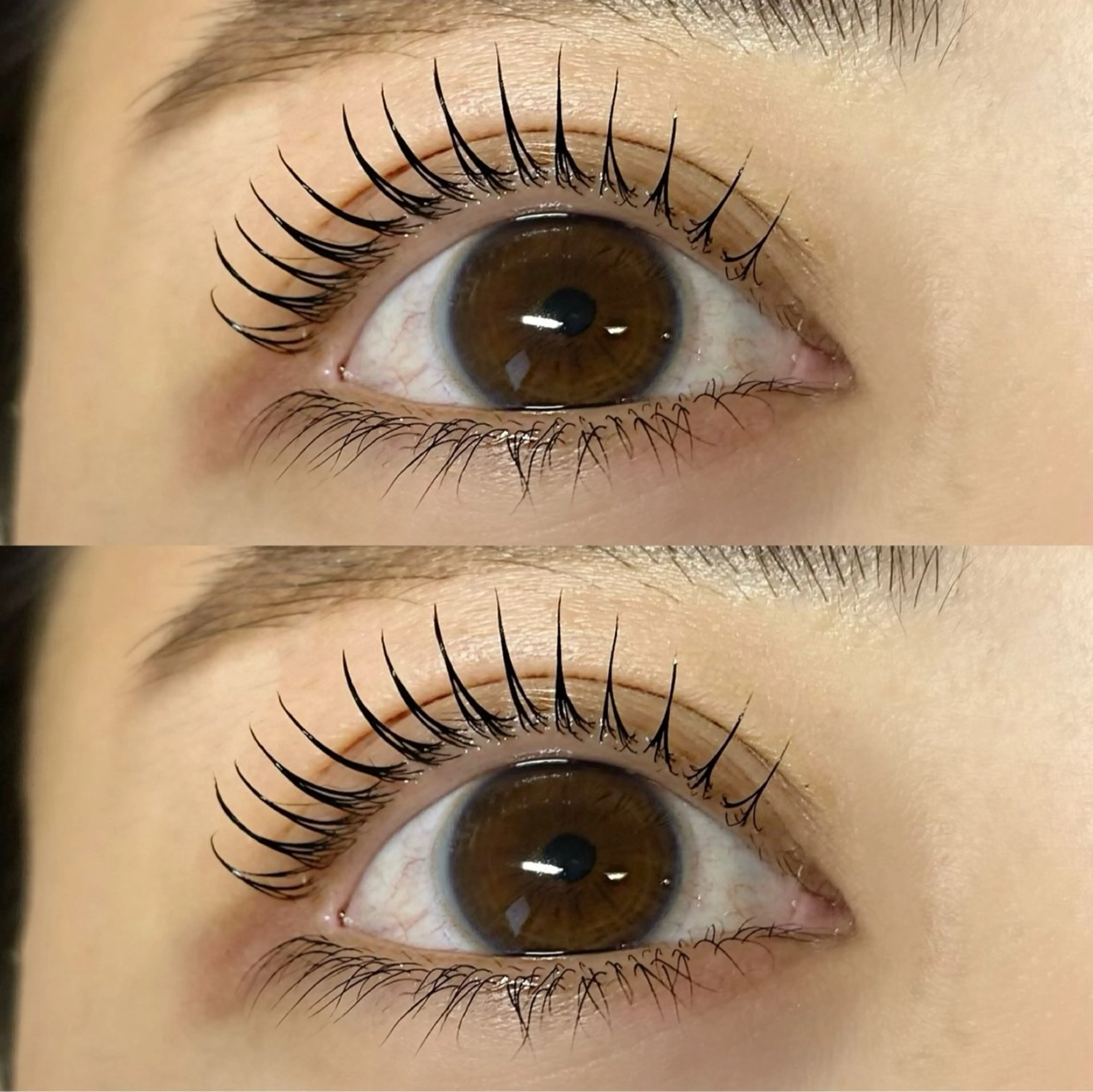 マツエク・マツパ Eyelash salon eternel 上小田井店/マツエク/パリジェンヌ【エティナル】所属・eternel🫧‪ Sachiの眉毛・アイブロウイメージ