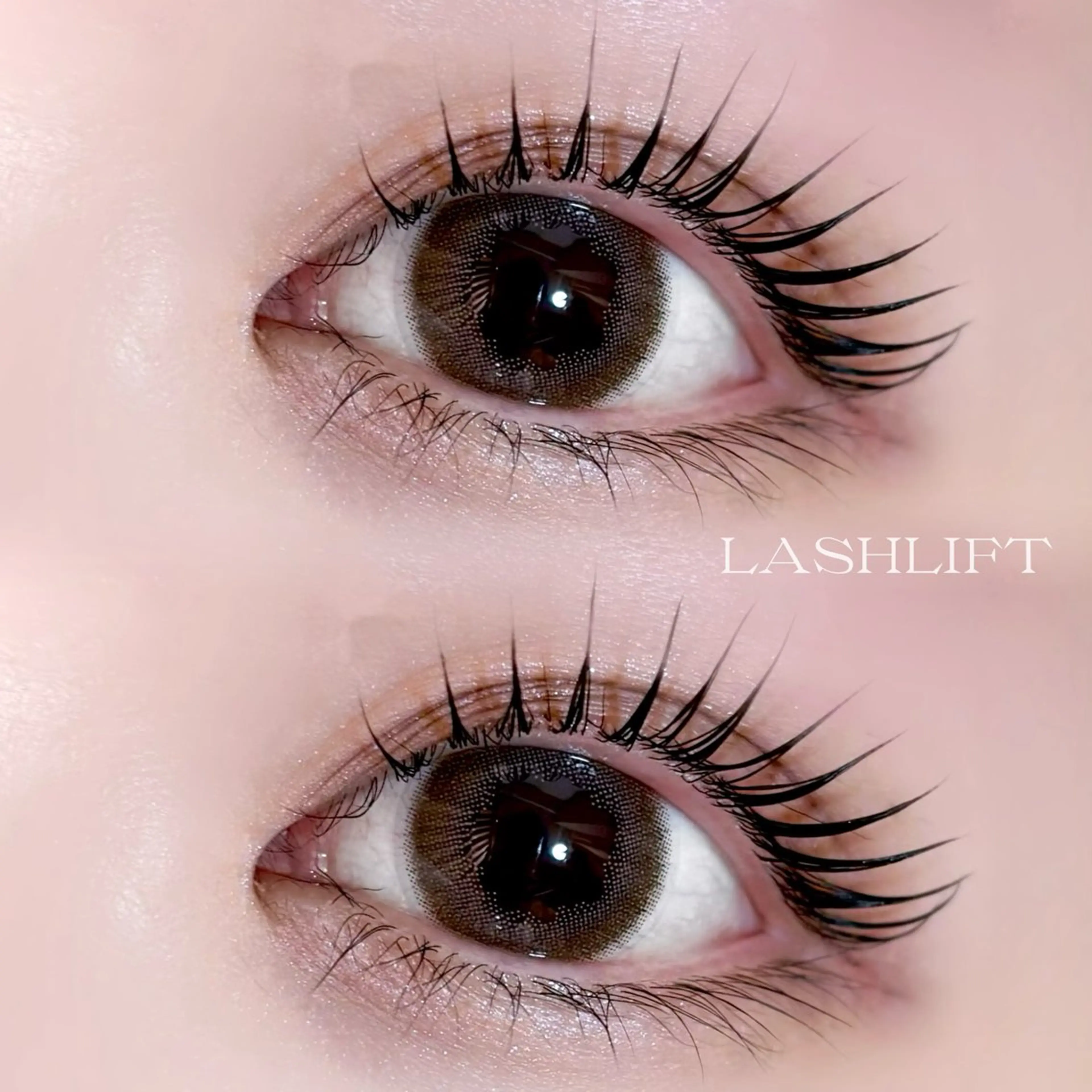 ラッシュリフト+アイブロウWAXの写真