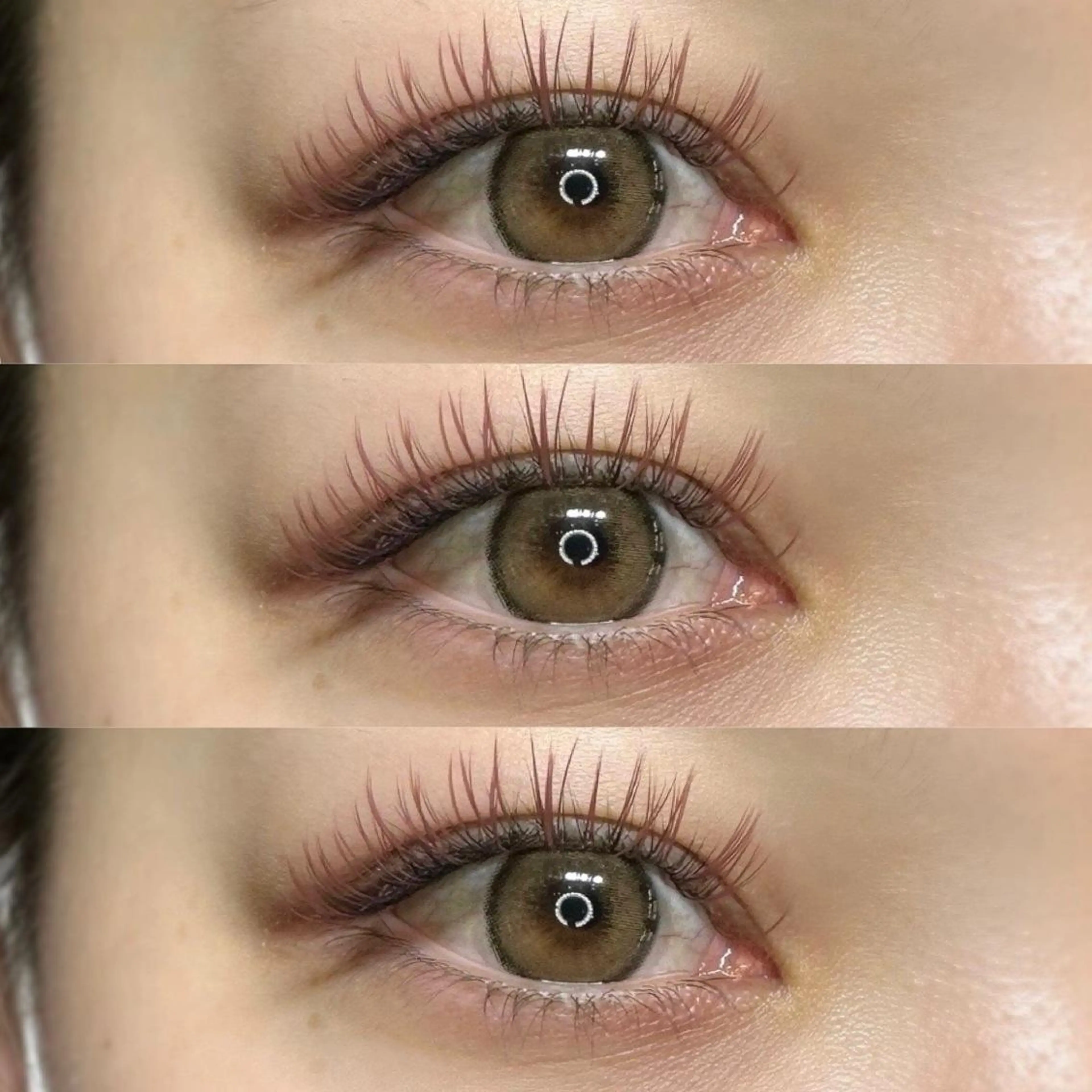 マツエク・マツパ Milobyking 🍒rihoの眉毛・アイブロウイメージ