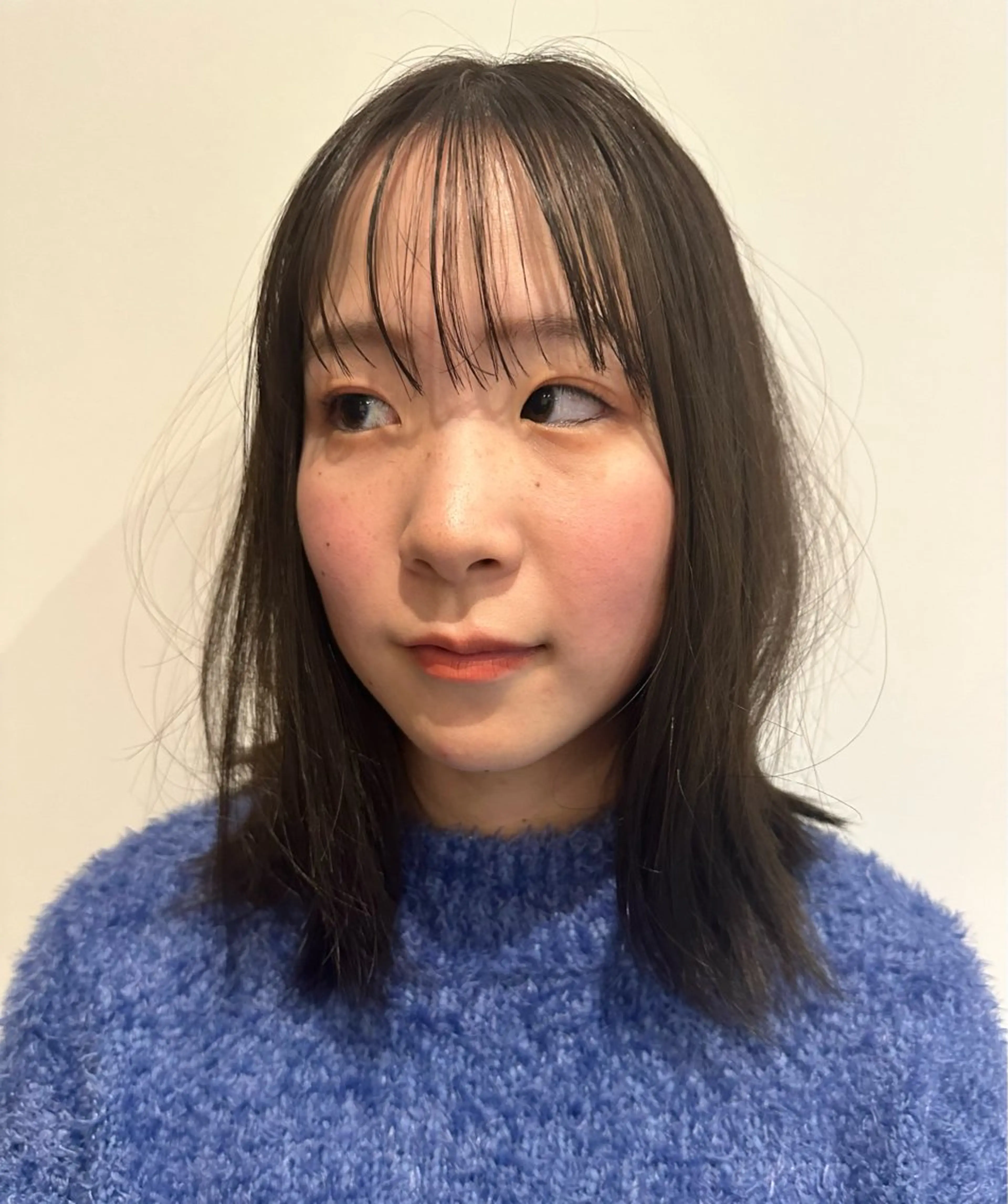 ミディアム カラー 透明感カラー 大人ショート/鎌倉/ 似合わせ/不動のヘアスタイル