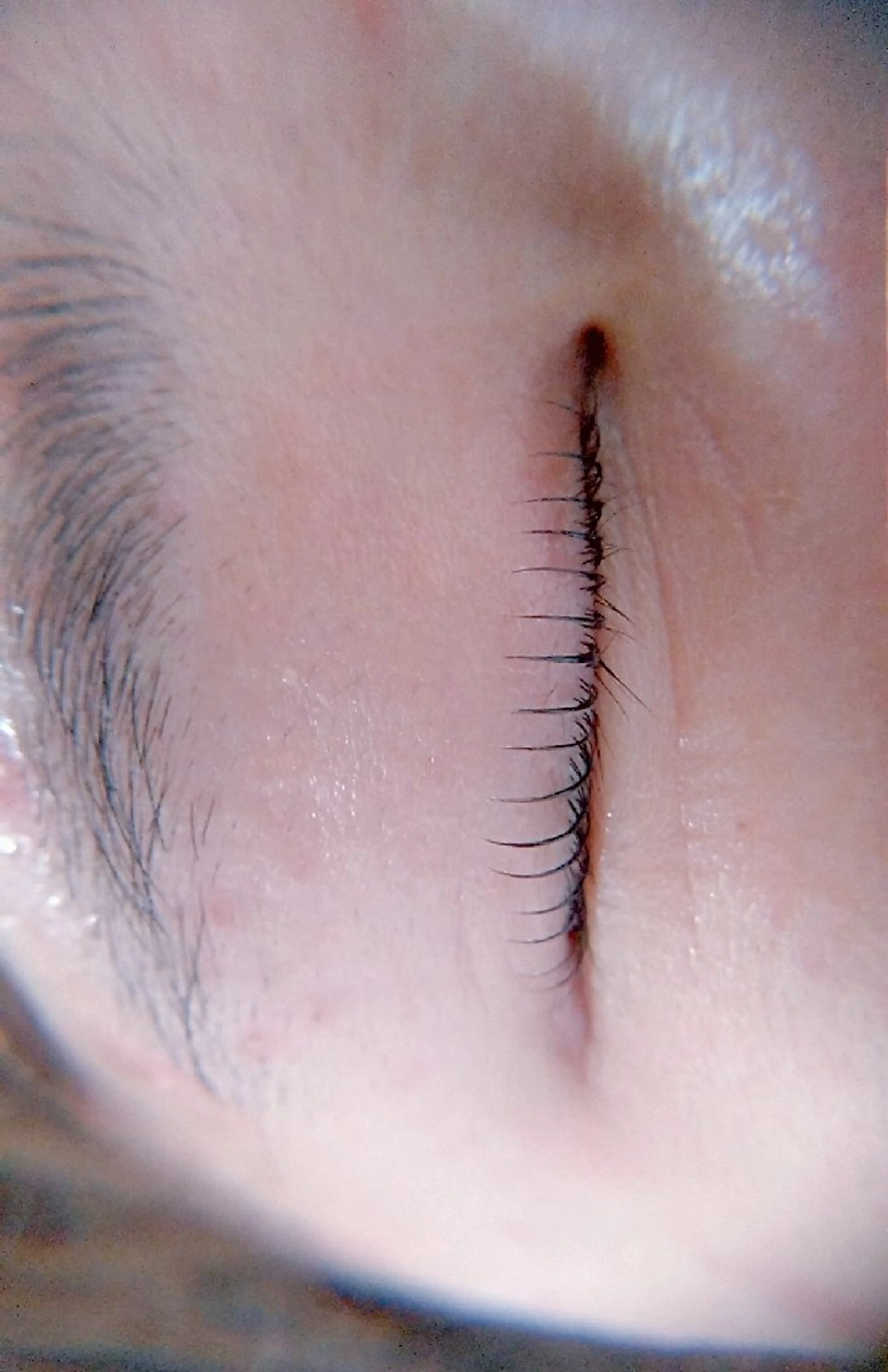 マツエク・マツパ Trip Salon Okuma所属・🅿有❤モテまつ毛❤ 3,980円〜✨新規のマツエク・マツパデザイン