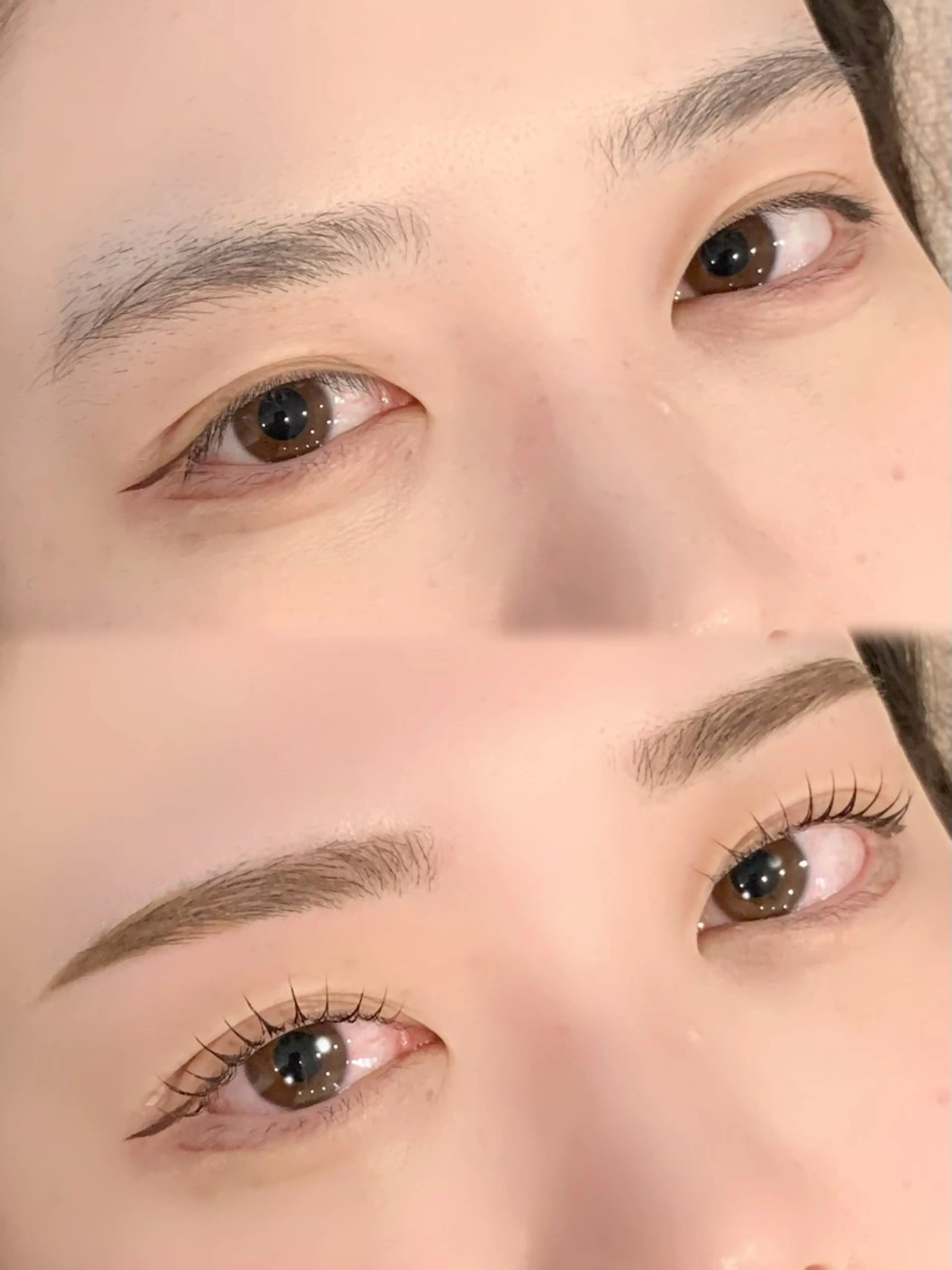 アイブロウ マリーテレジア 無料モデルの眉毛・アイブロウイメージ