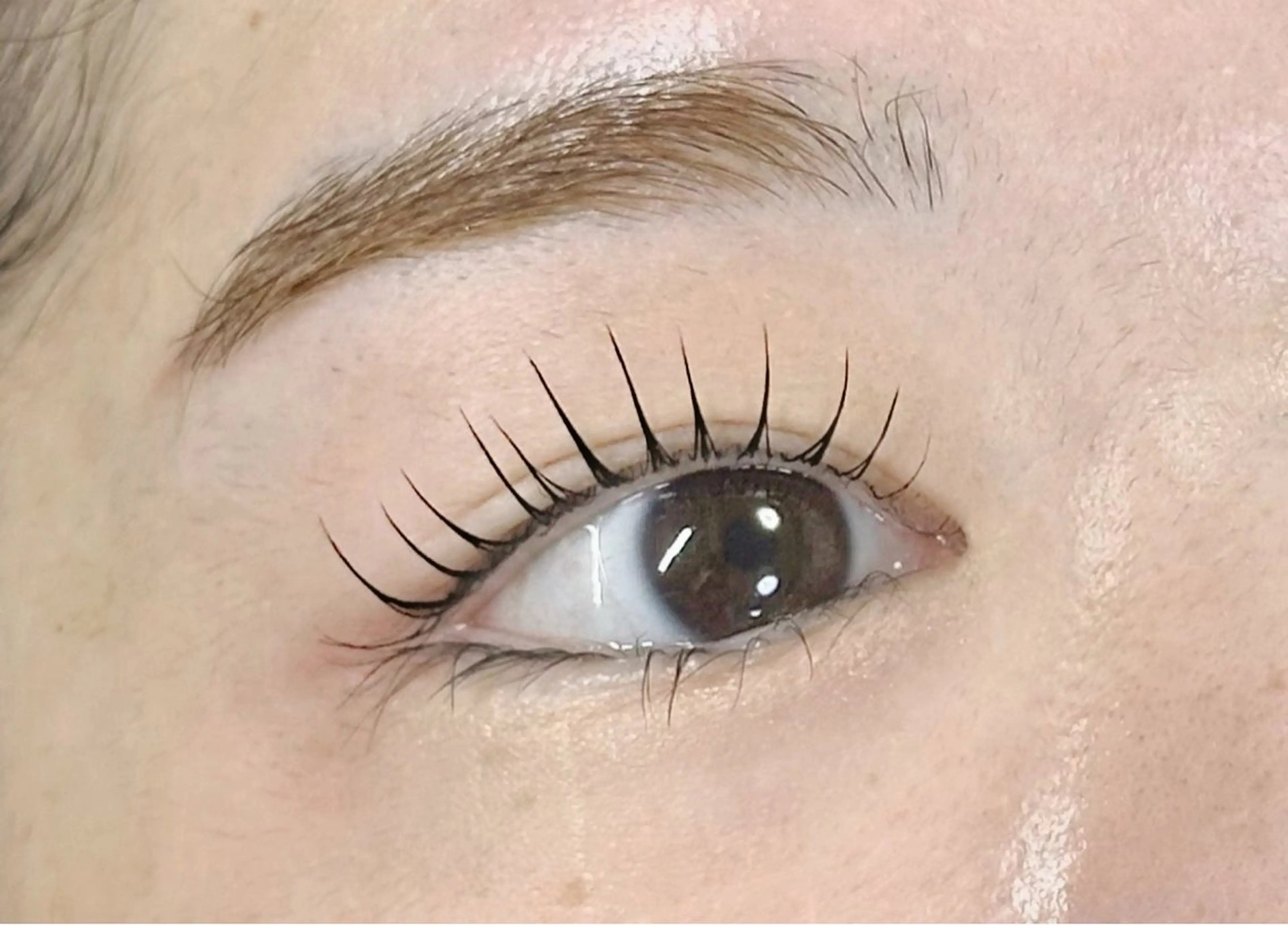 【下がりまつげ◎】パリジェンヌラッシュリフト¥5980|ケアトリートメント2種の写真