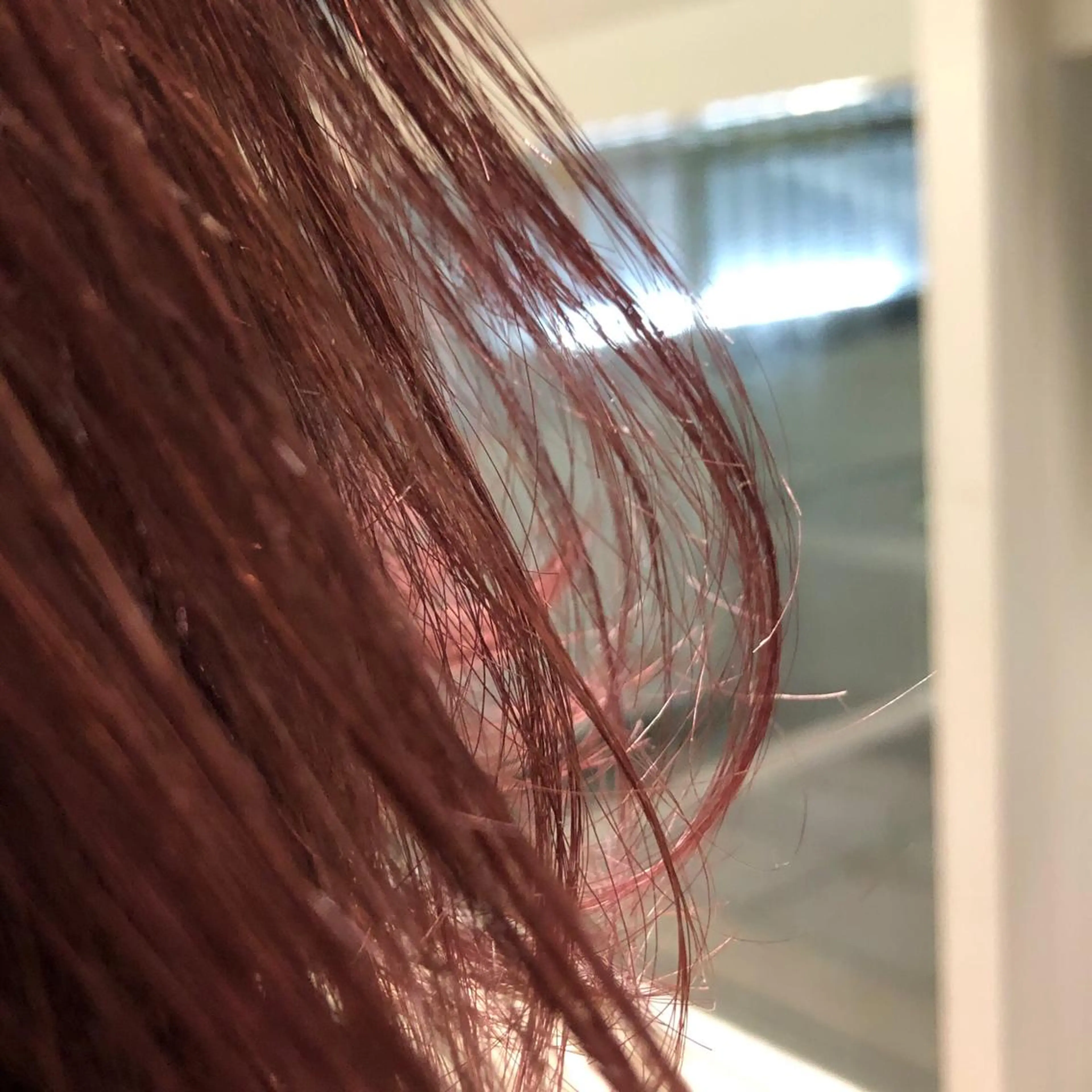 ショート カラー ブリーチ イルミナカラー これた🧸ヘアメ職人 ♡髪質改善♡カラーのヘアスタイル