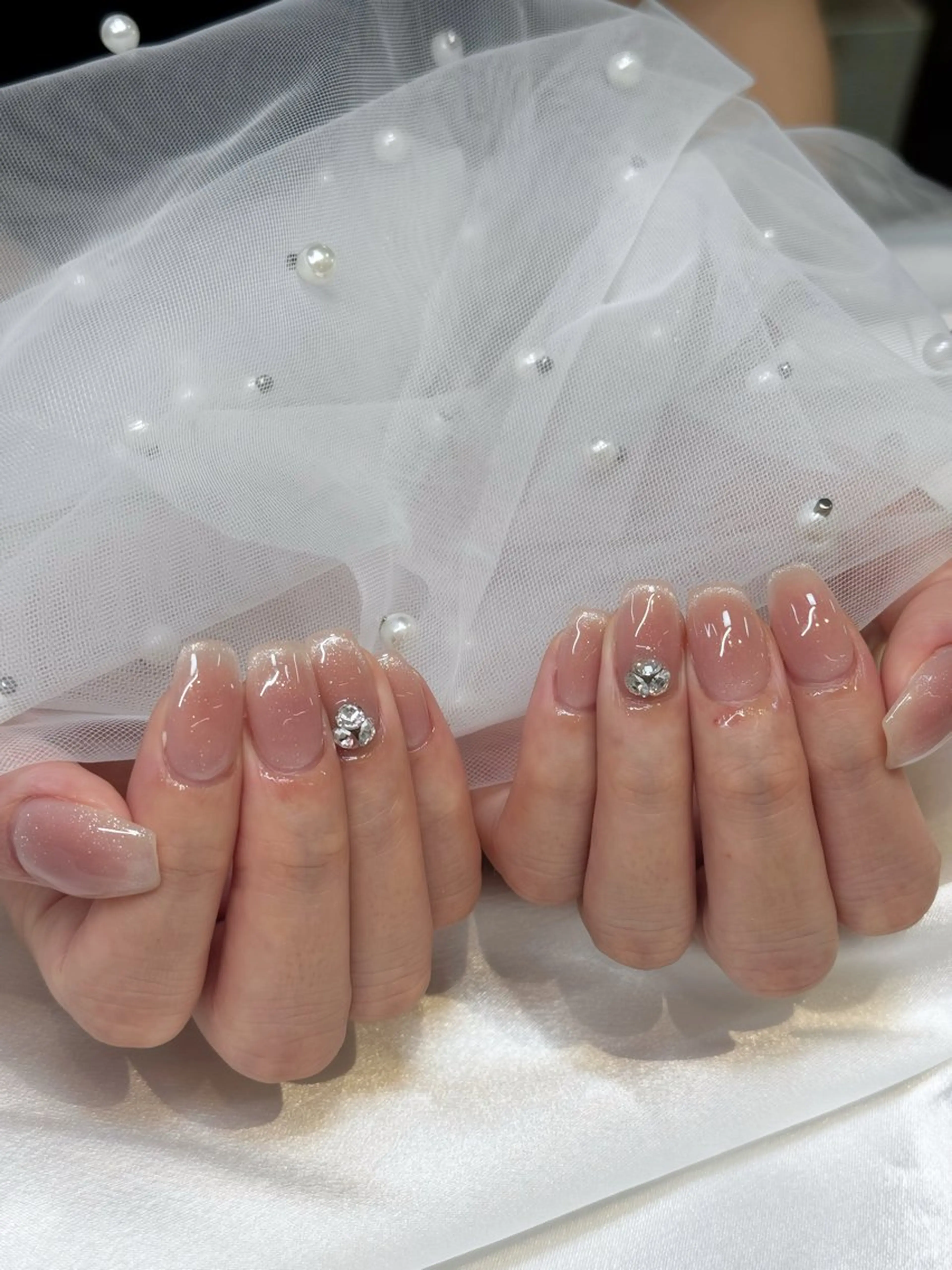 ネイル チークネイル マグネットネイル Lis10🕊️♡ KAKOのネイルデザイン