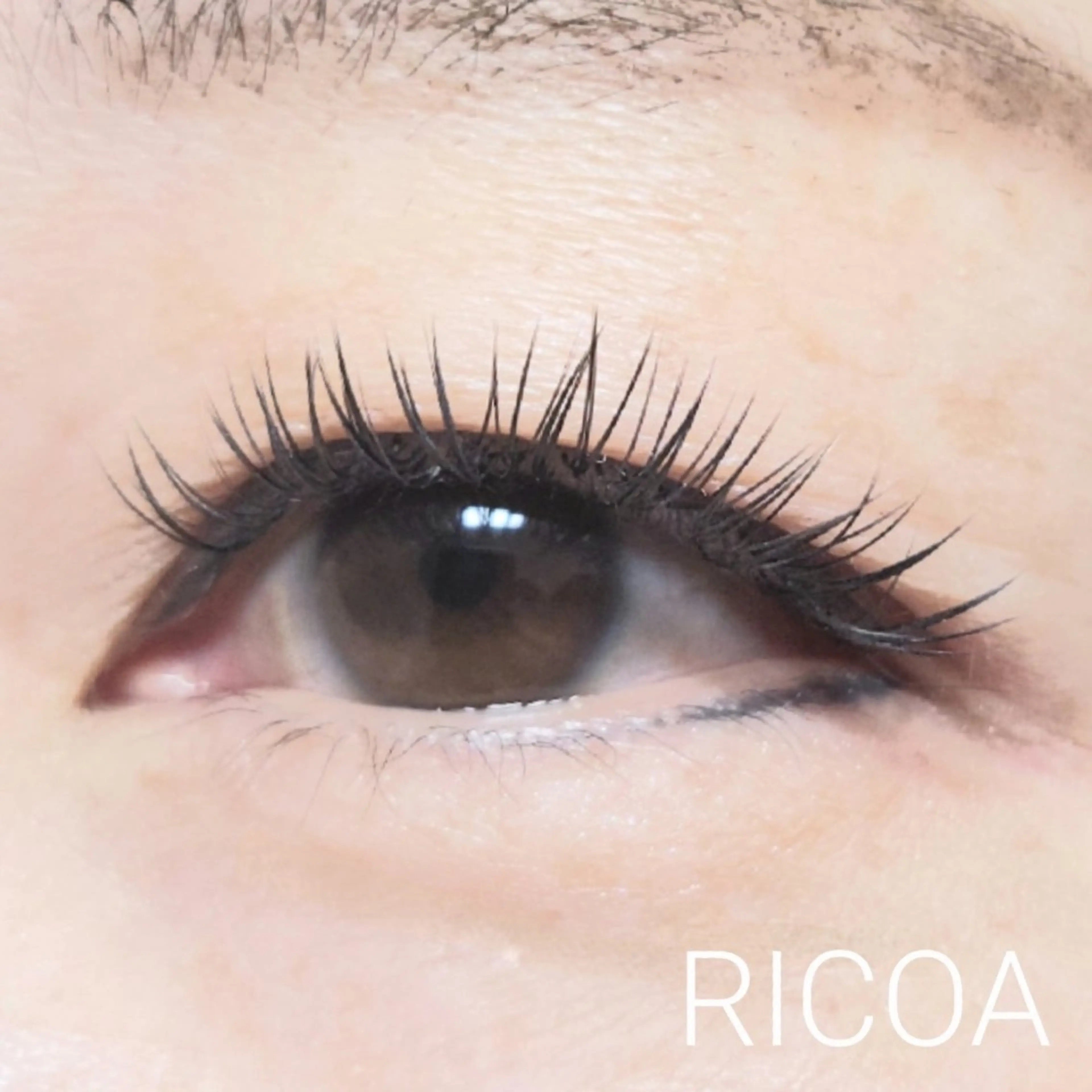 マツエク・マツパ フラットラッシュ マツエク RICOA 酒井のマツエク・マツパデザイン