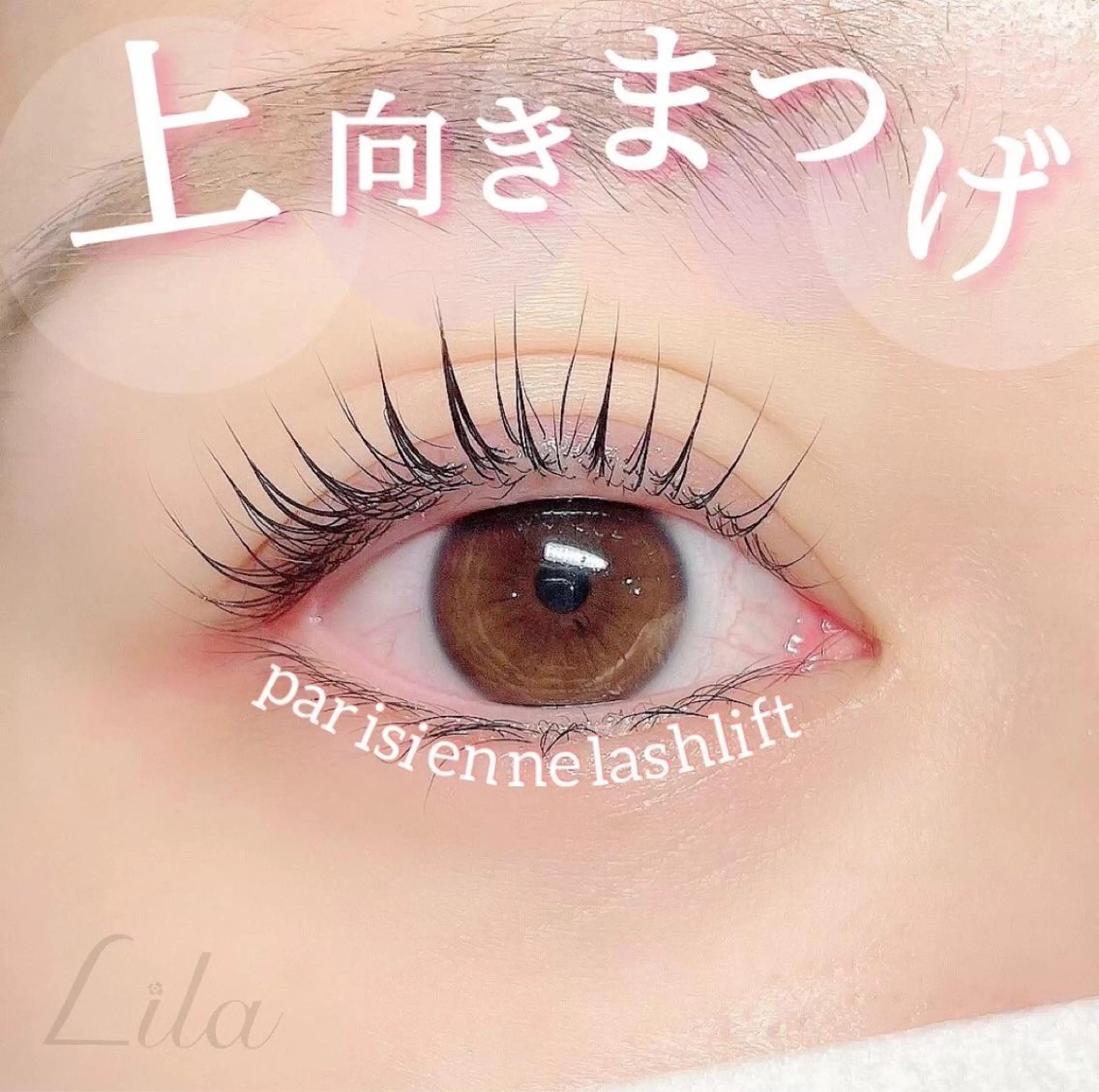 パーマ Ci belle シ ベル所属・Ci belle アラカワのマツエク・マツパデザイン