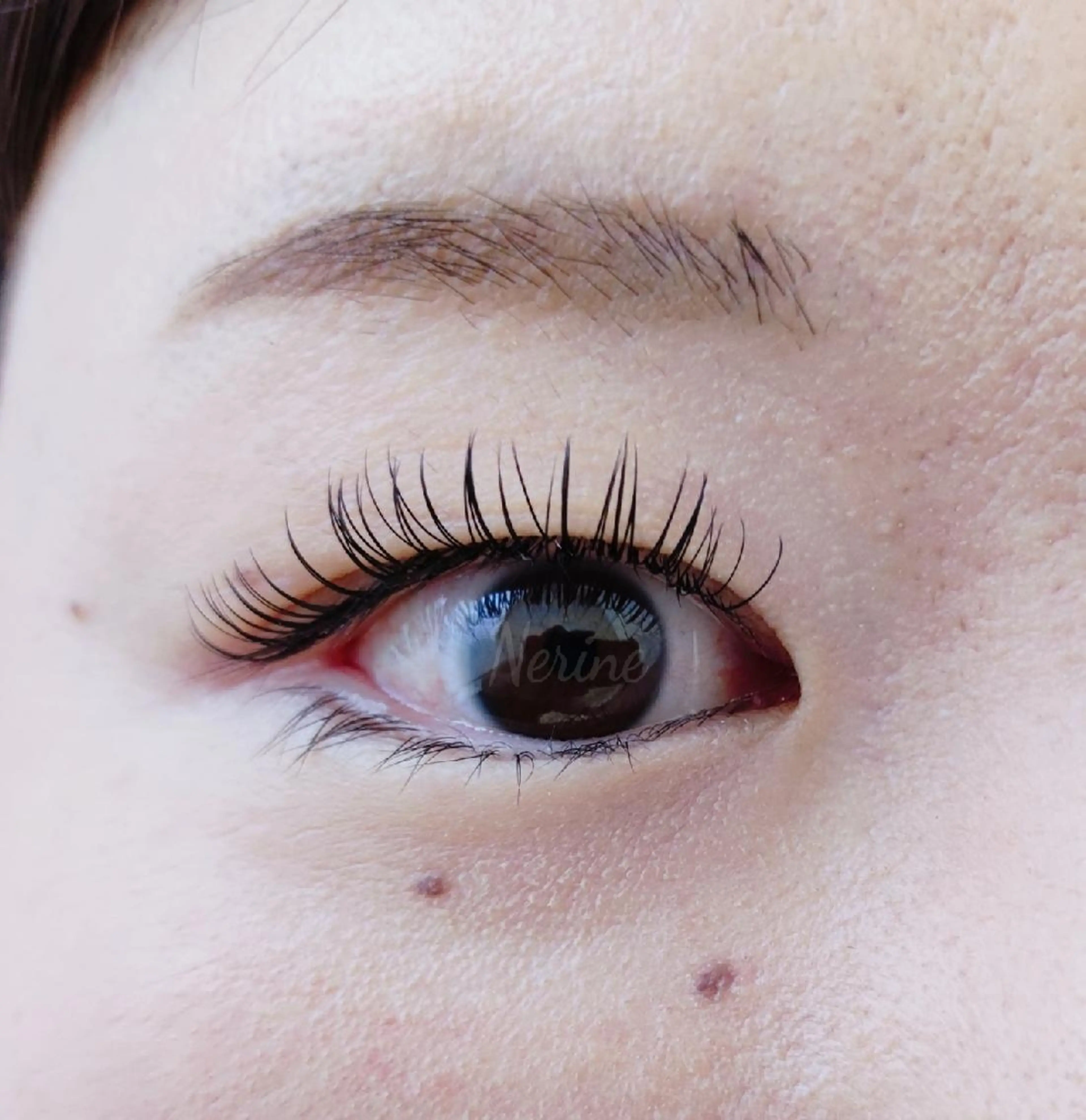 マツエク・マツパ フラットラッシュ まつげと眉のお店 Nerine【ネリネ】所属・まつげと眉のお店 Nerineのマツエク・マツパデザイン