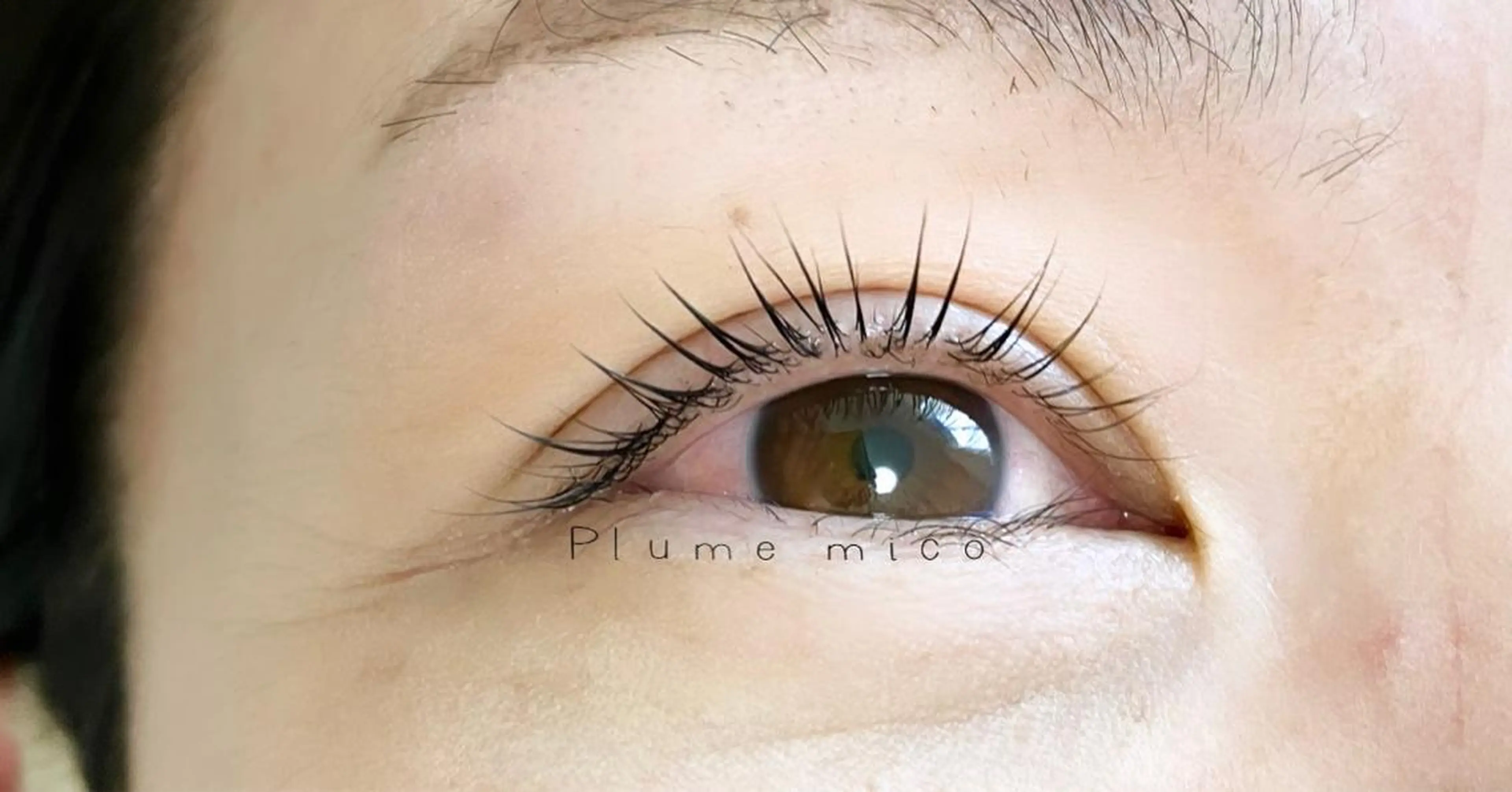 マツエク・マツパ マツパ Plume micoのマツエク・マツパデザイン