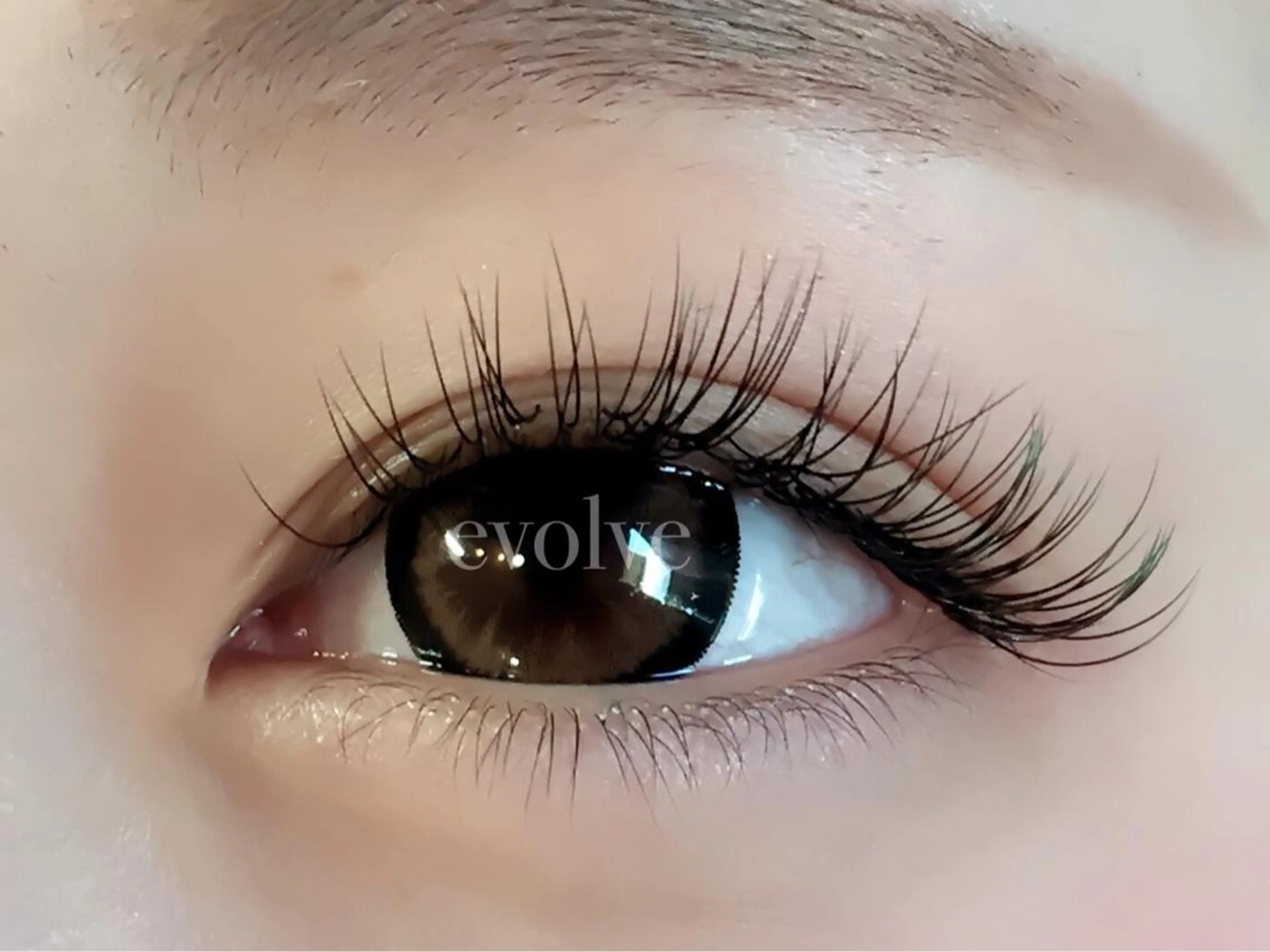 マツエク・マツパ evolve by TypeAB所属・evolve  by TypeABのマツエク・マツパデザイン